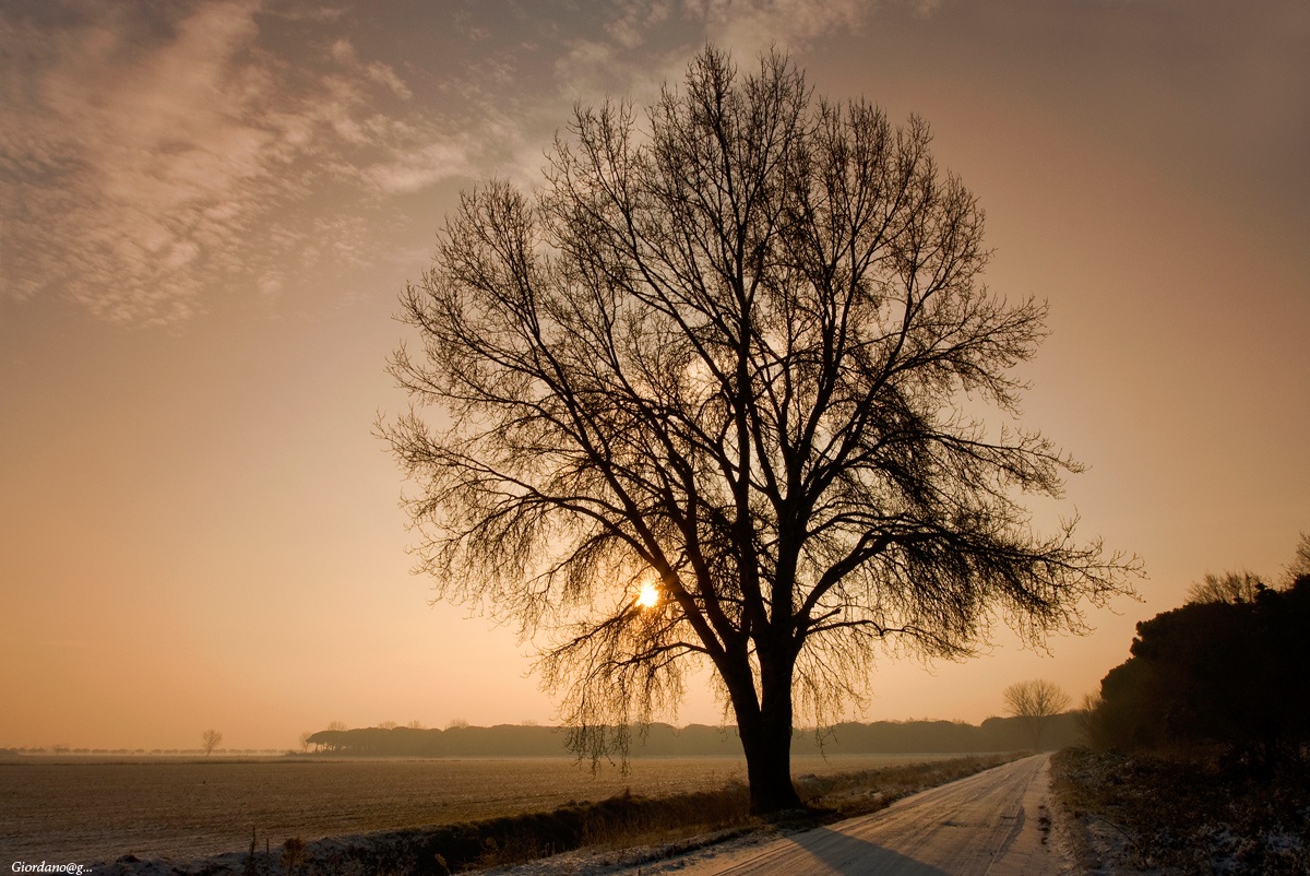 "Campaign Ravenna ..."