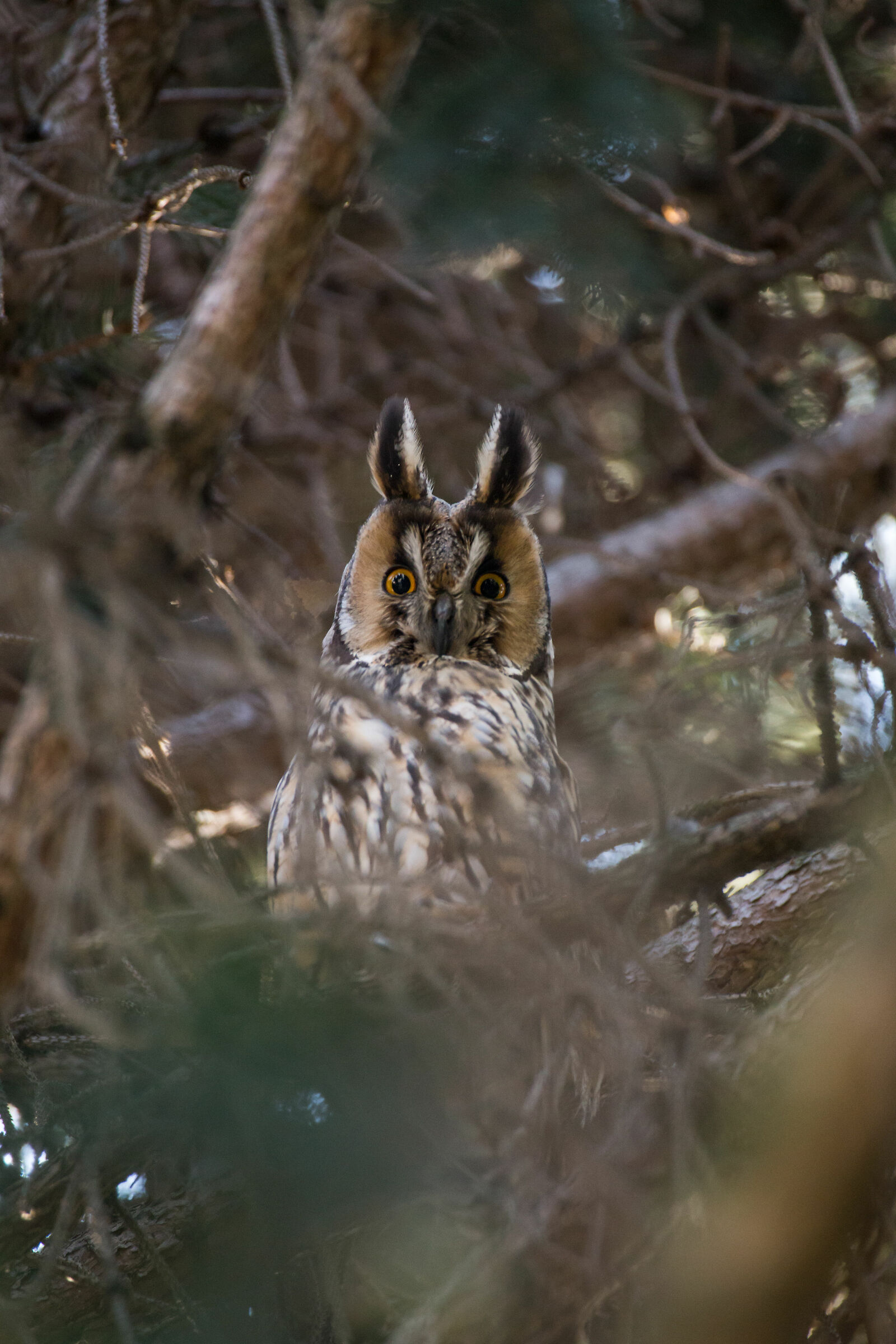 What are you looking at?