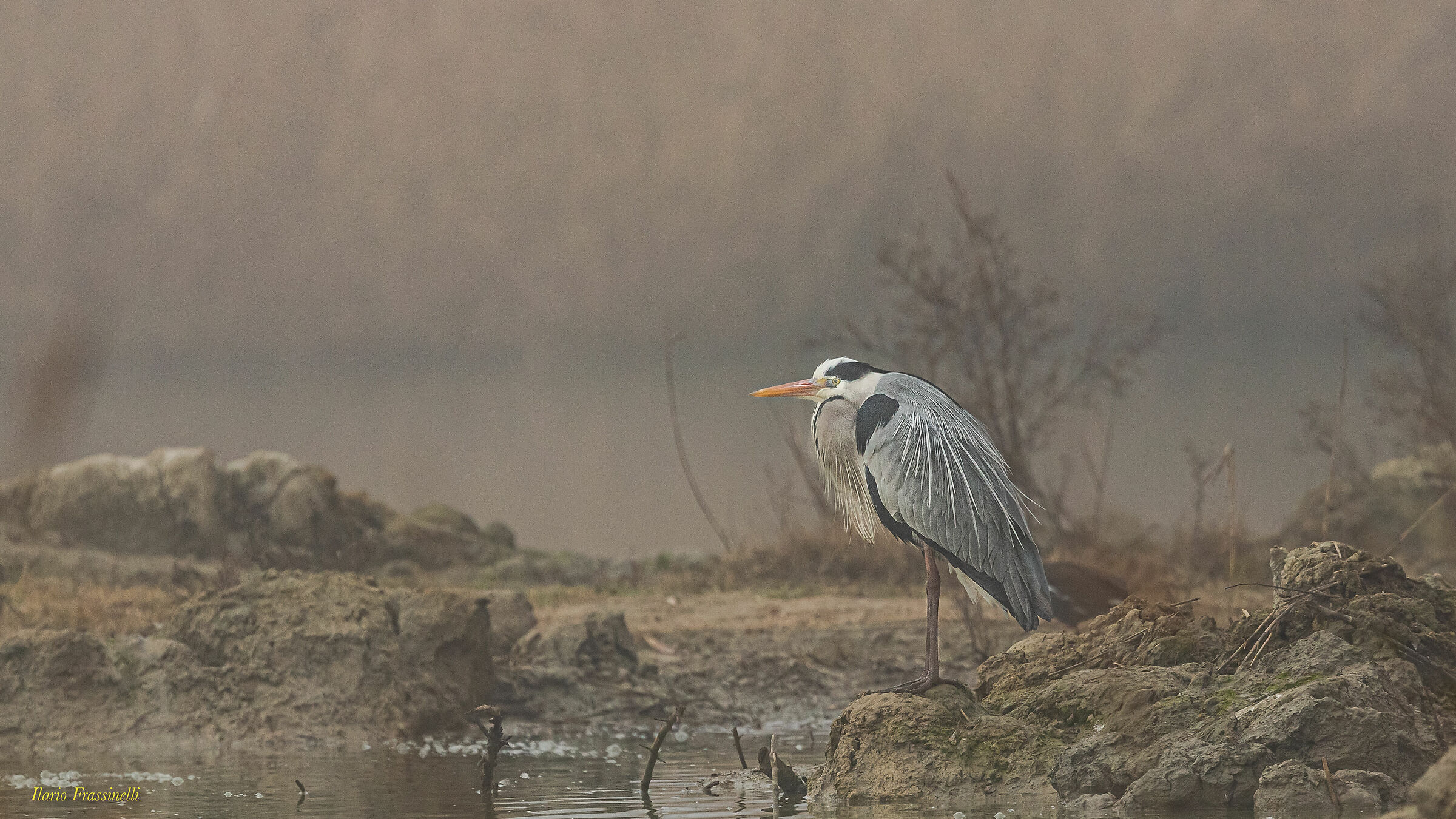 Nestled in the mist of the lagoon