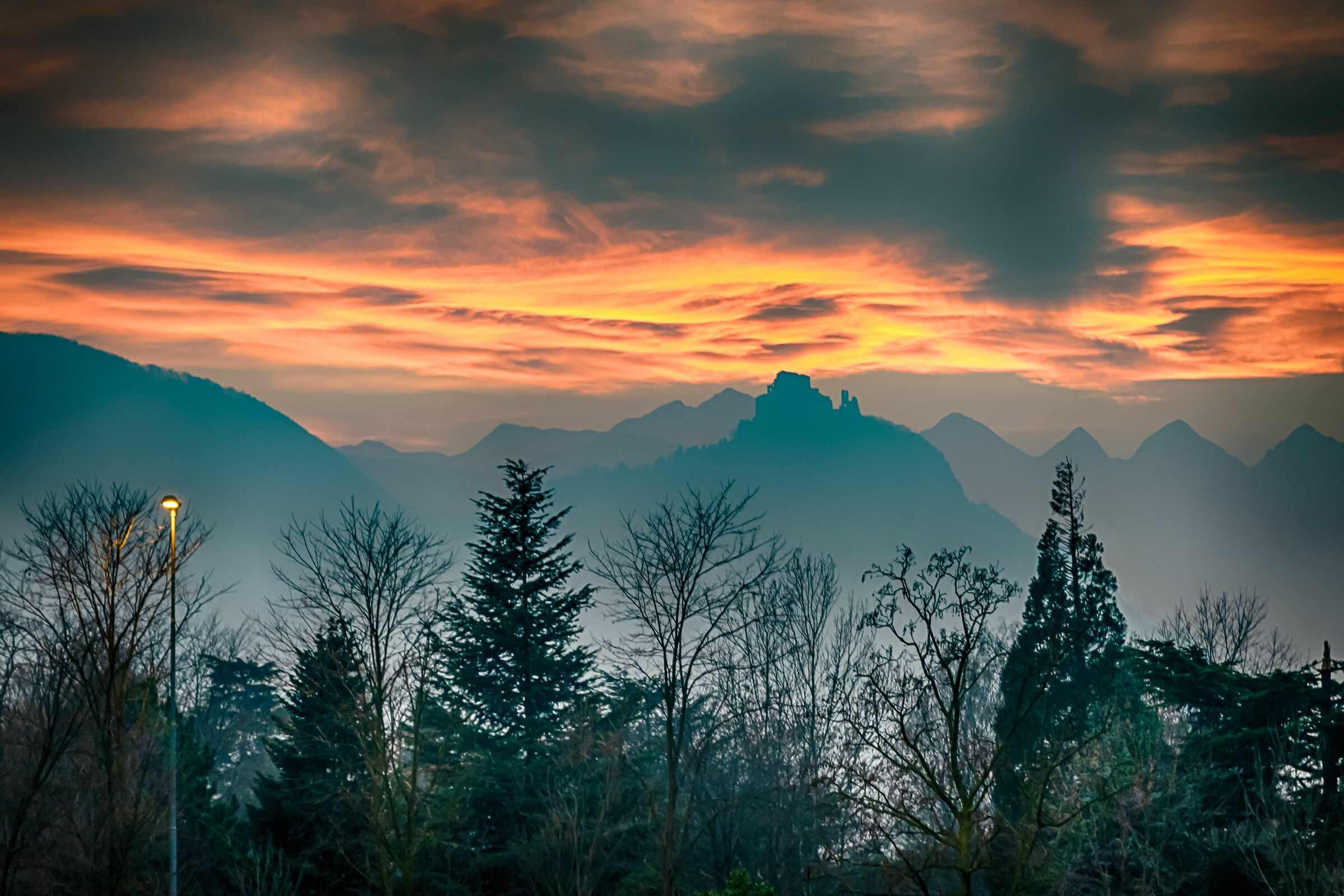Untitled Photo