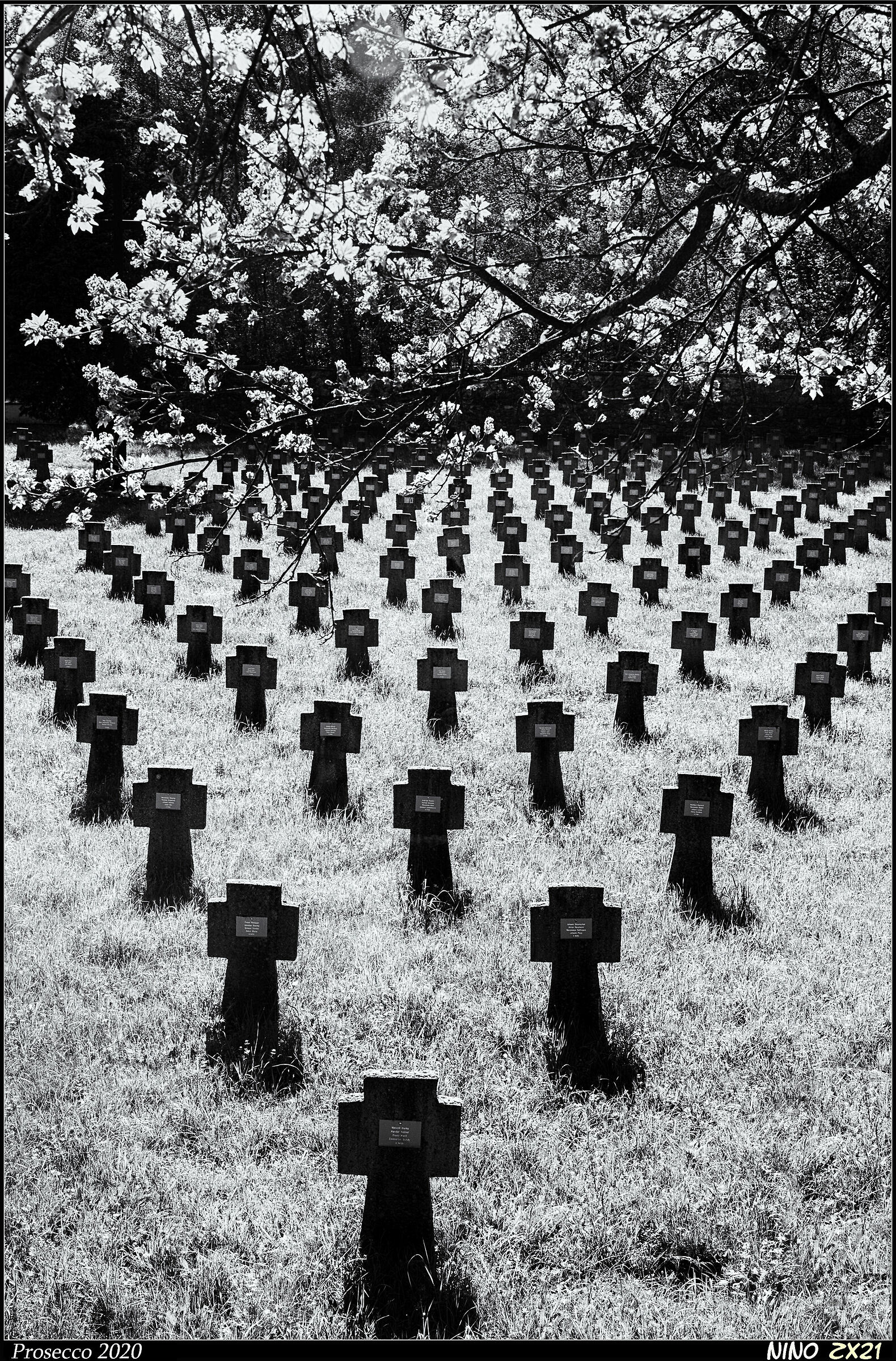 Austrongarico Prosecco Cemetery