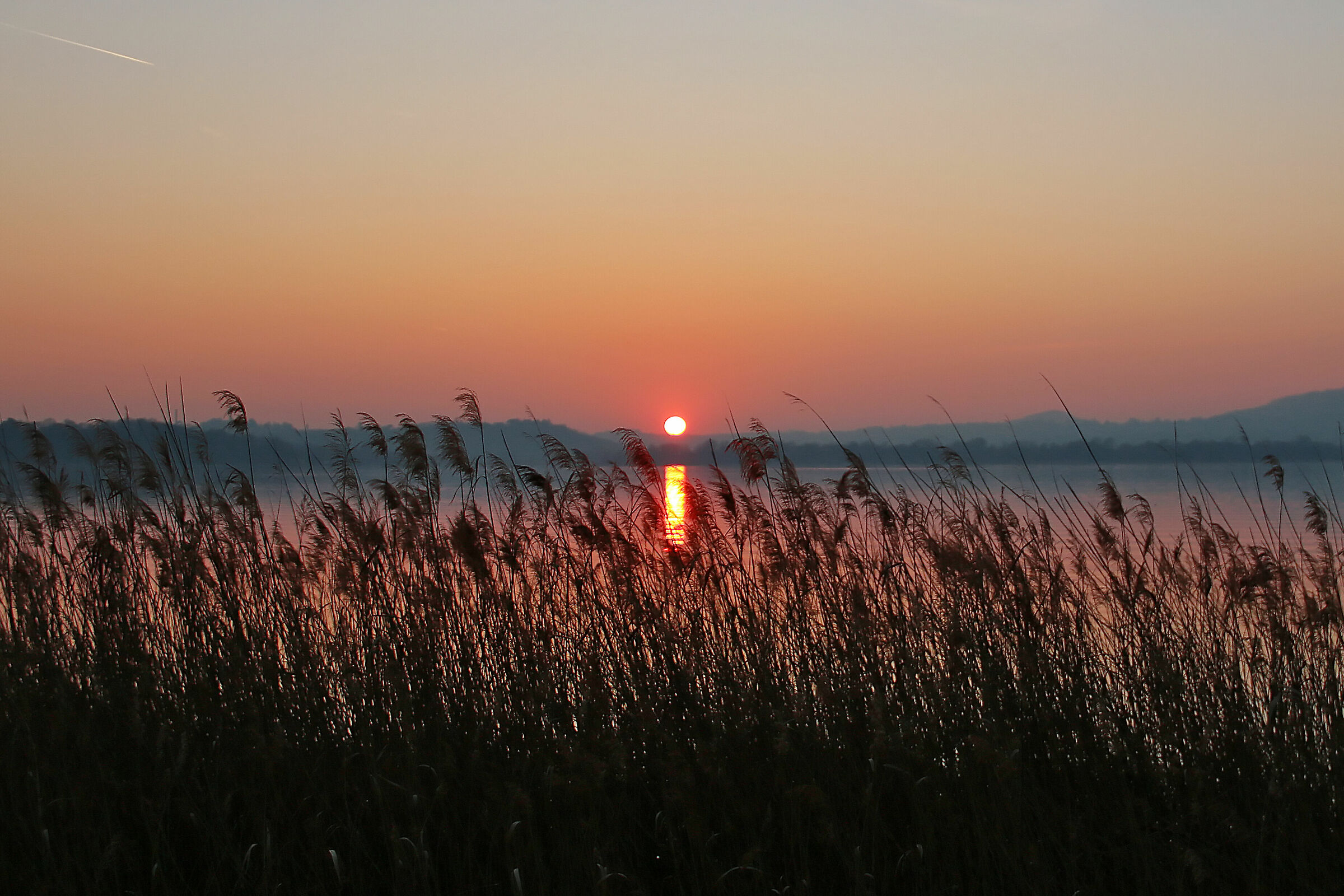 Lago di Pusiano -Tramonto