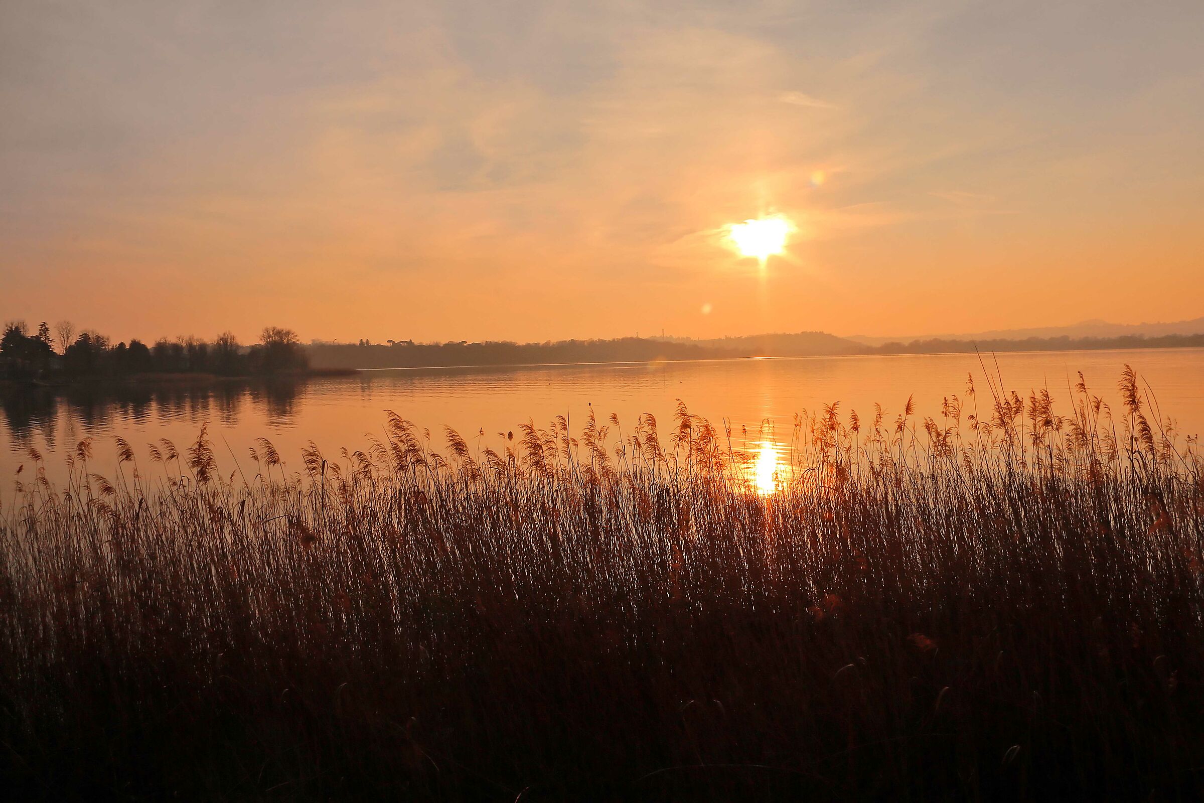 Lago di Pusiano -Tramonto