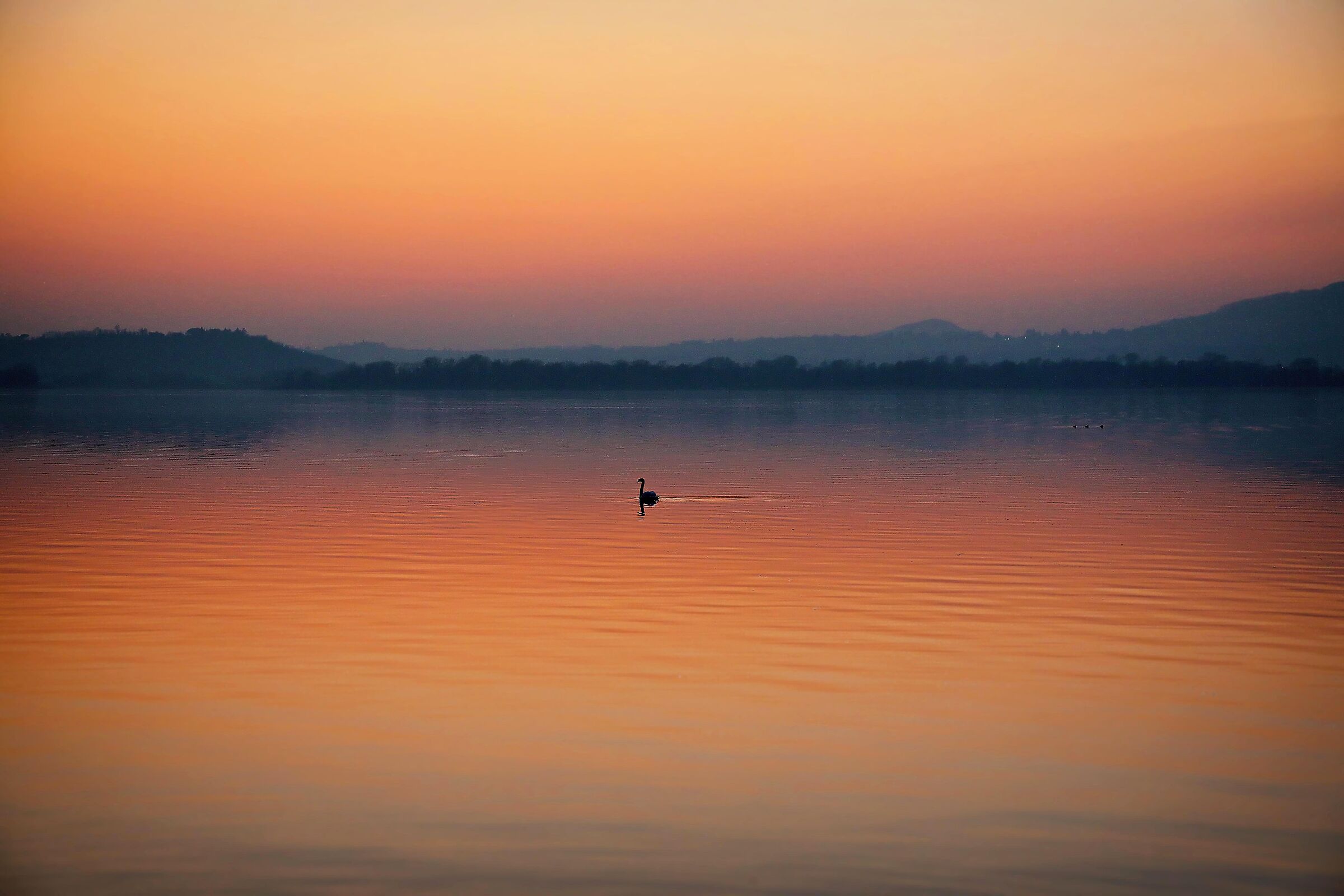 Lago di Pusiano -Tramonto