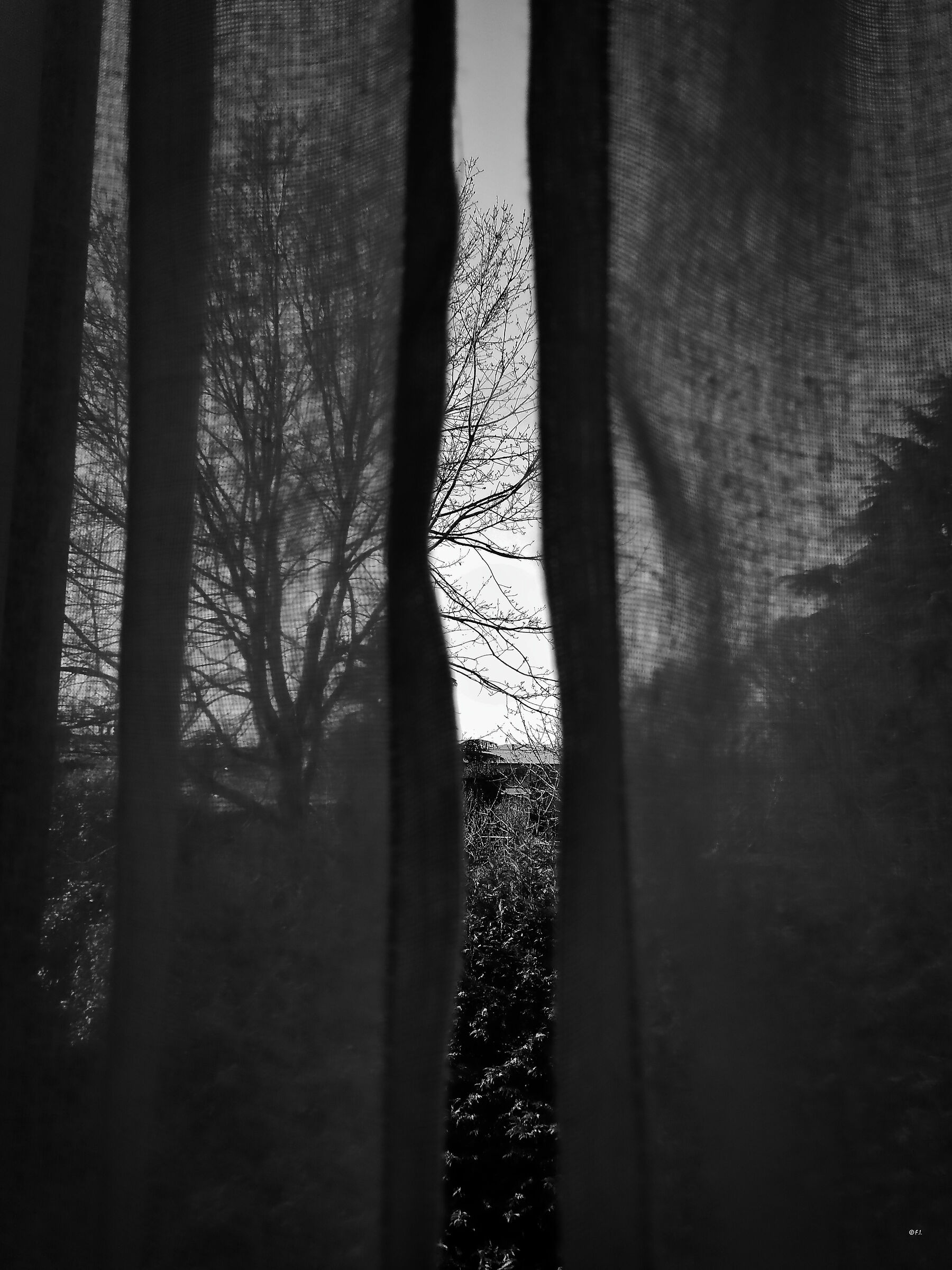 sbirciando dalla finestra