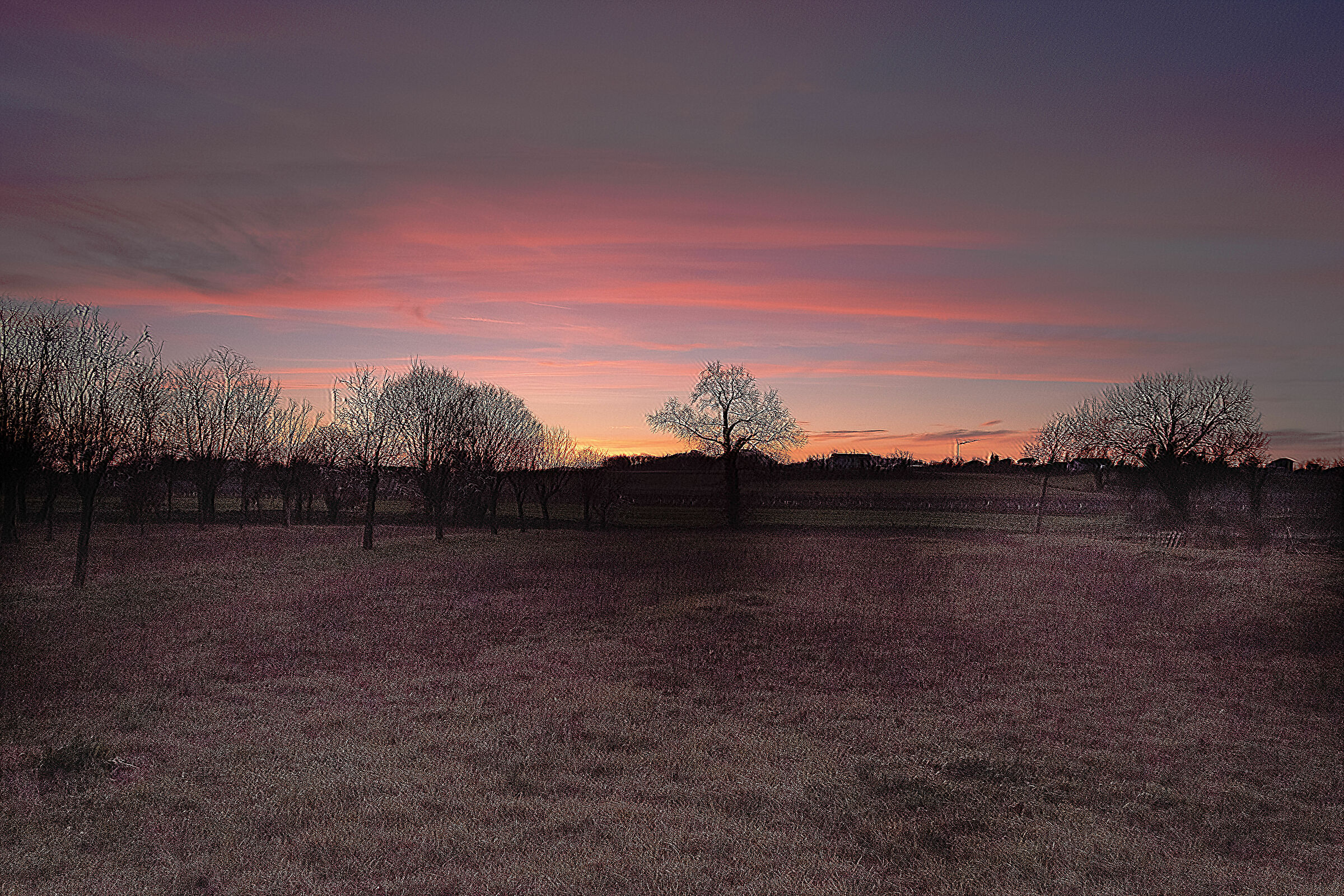 Untitled Photo