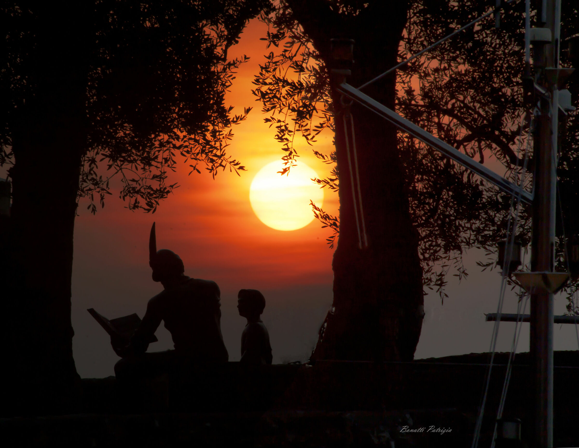 they never miss a sunset