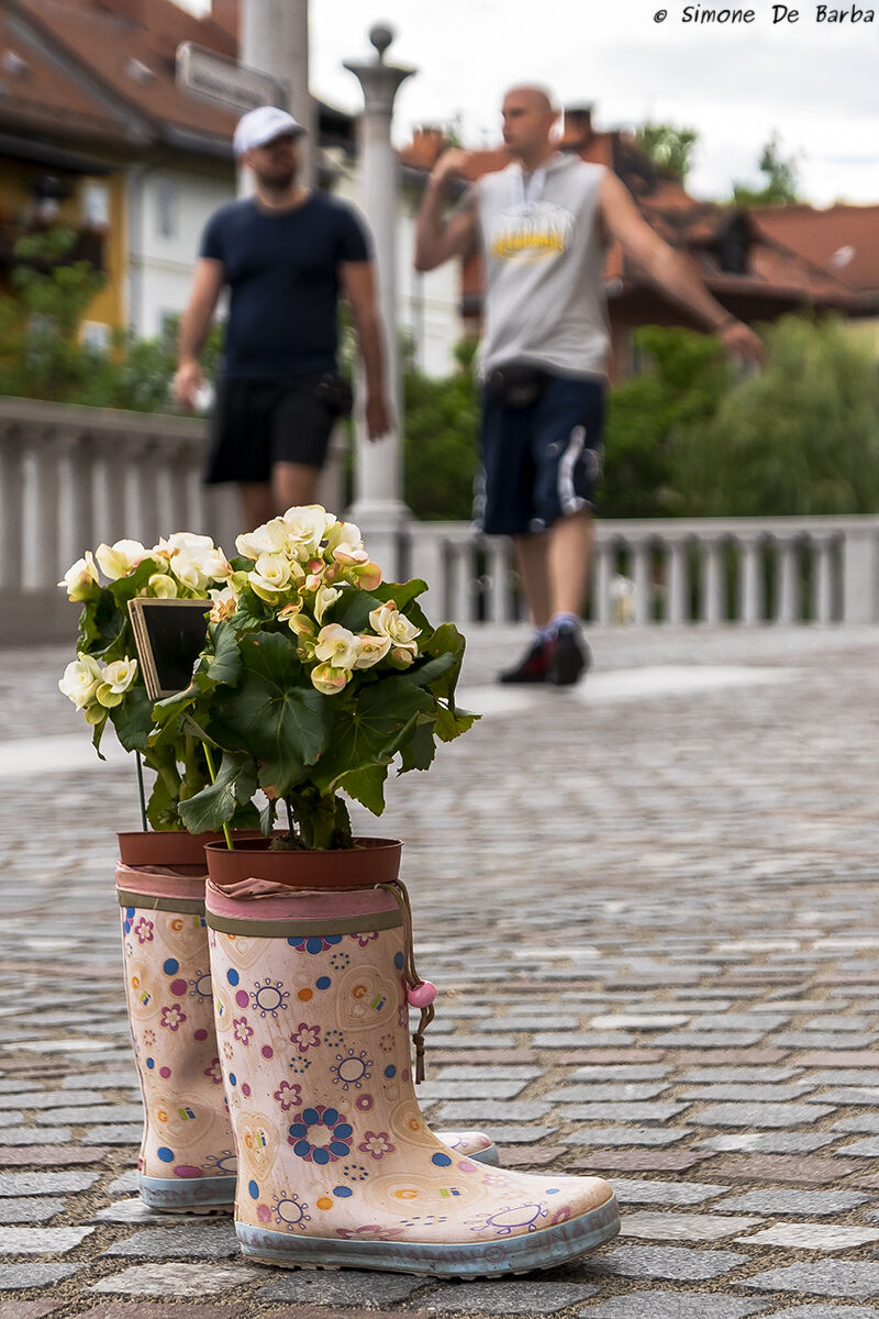 Walking you get far...