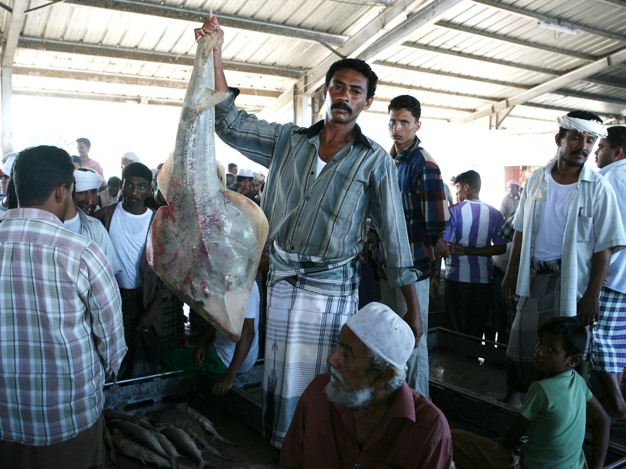 Yemen, Hodeidah, mercato del pesce