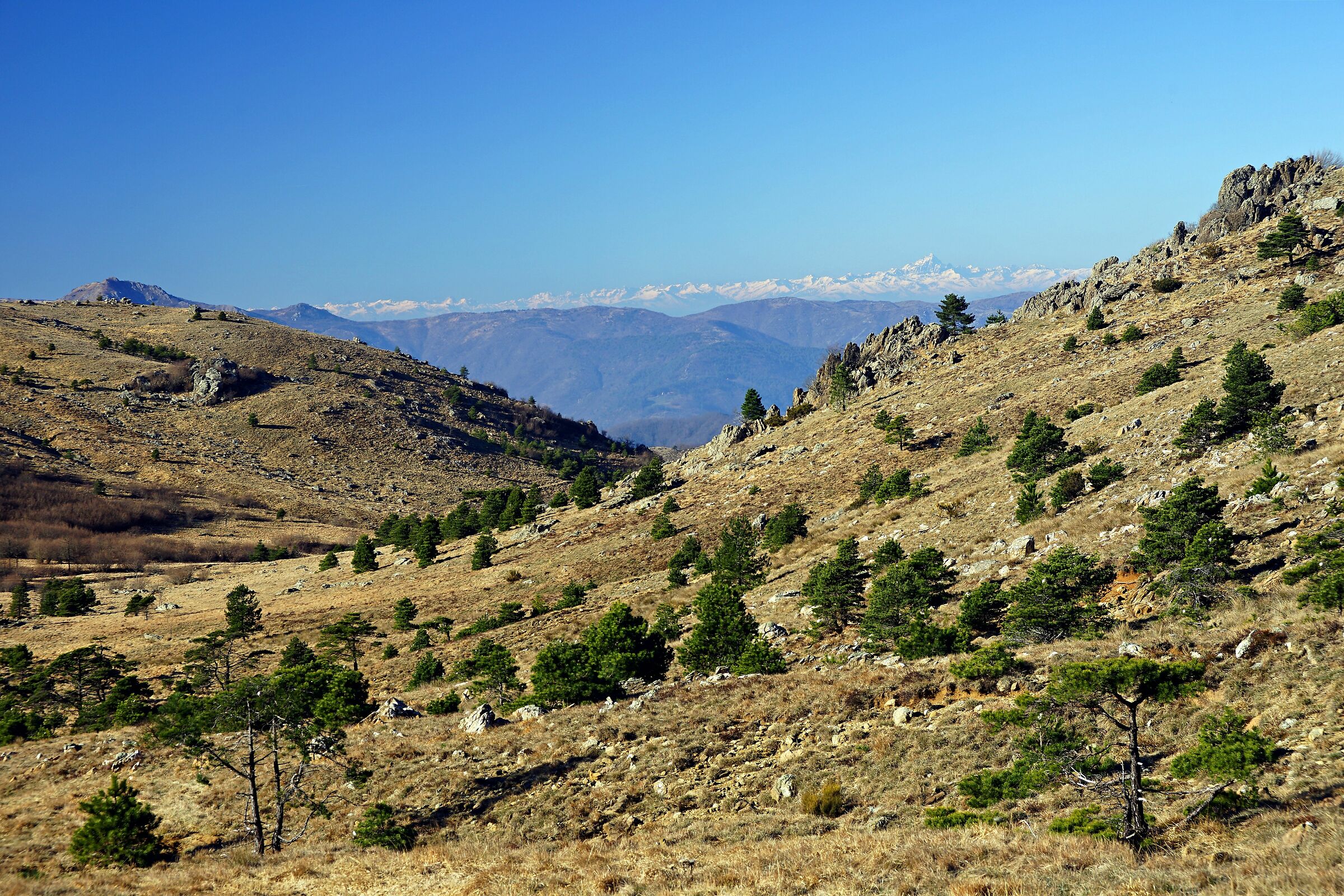 Landscape... Californian from the Genoa Heights