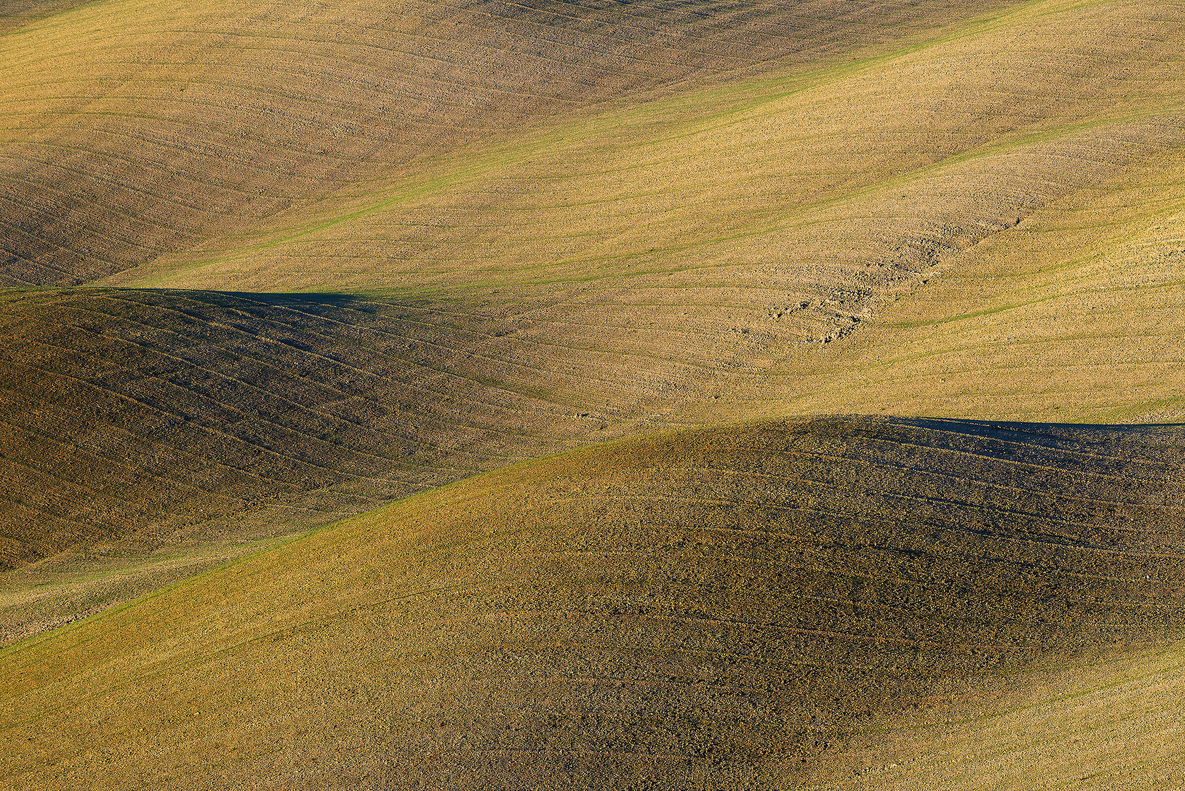 Colline Toscane