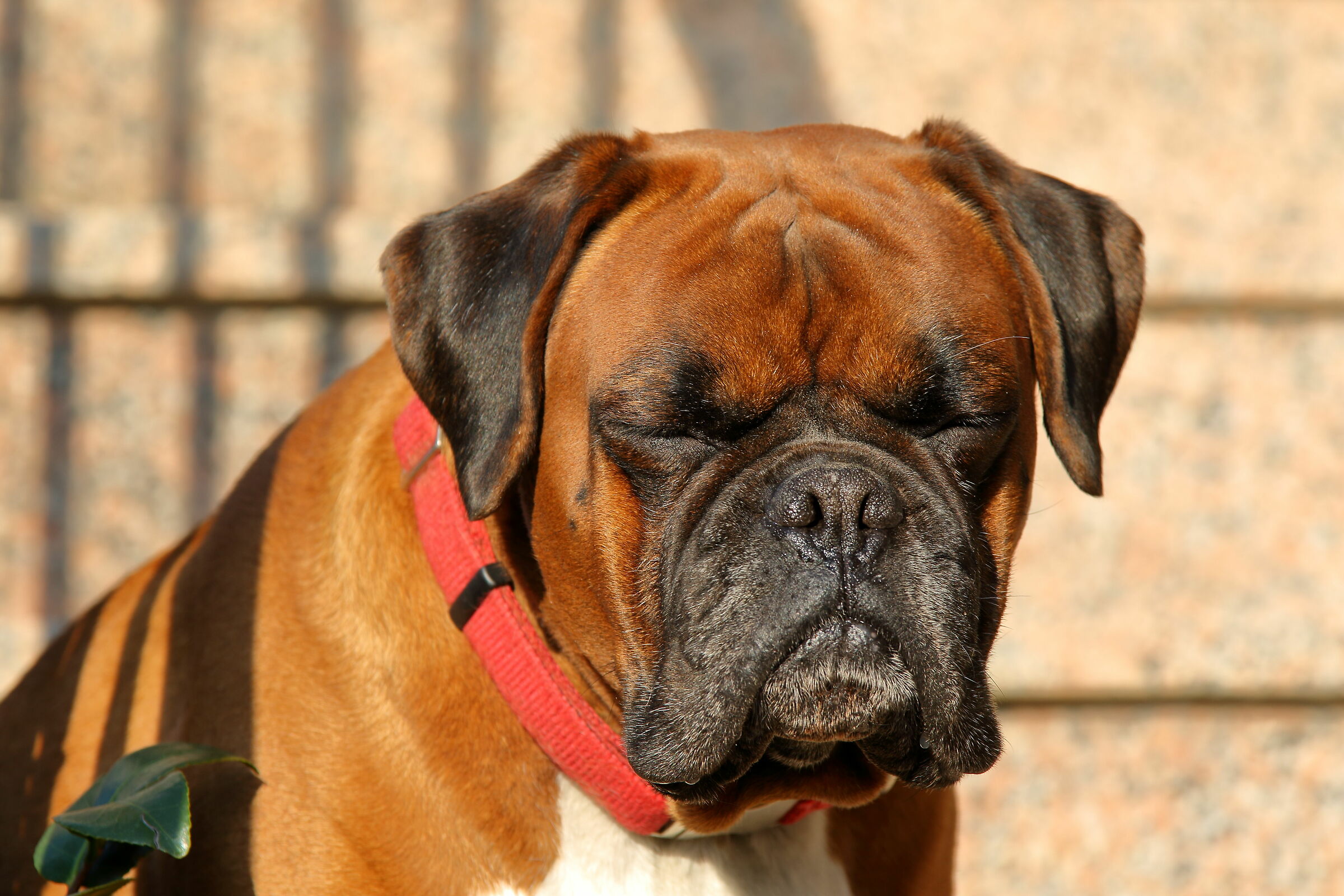 Those who sleep do not....