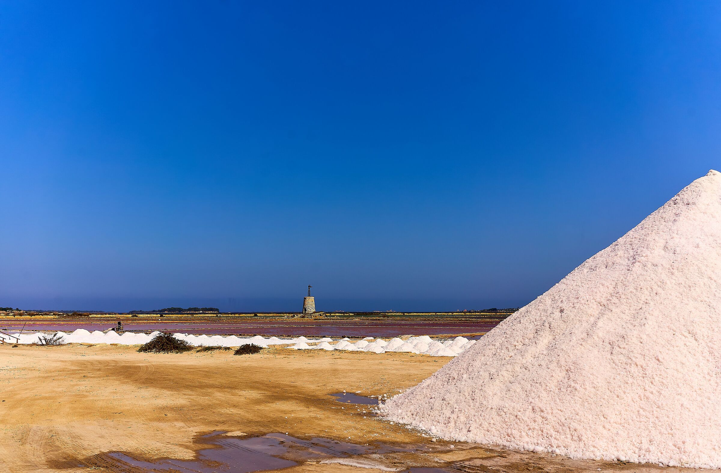 Voglia di sale, voglia di mare