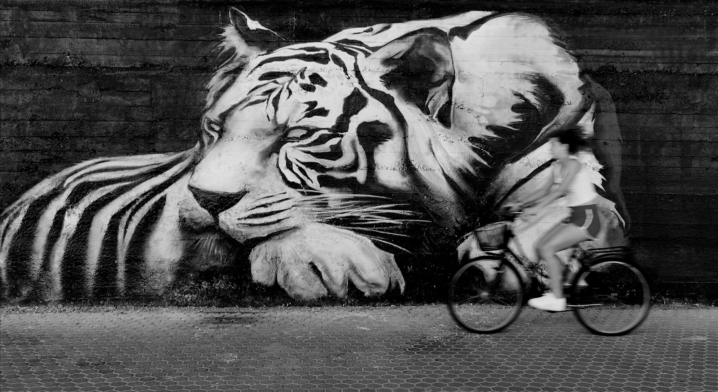 Il risveglio della tigre ...