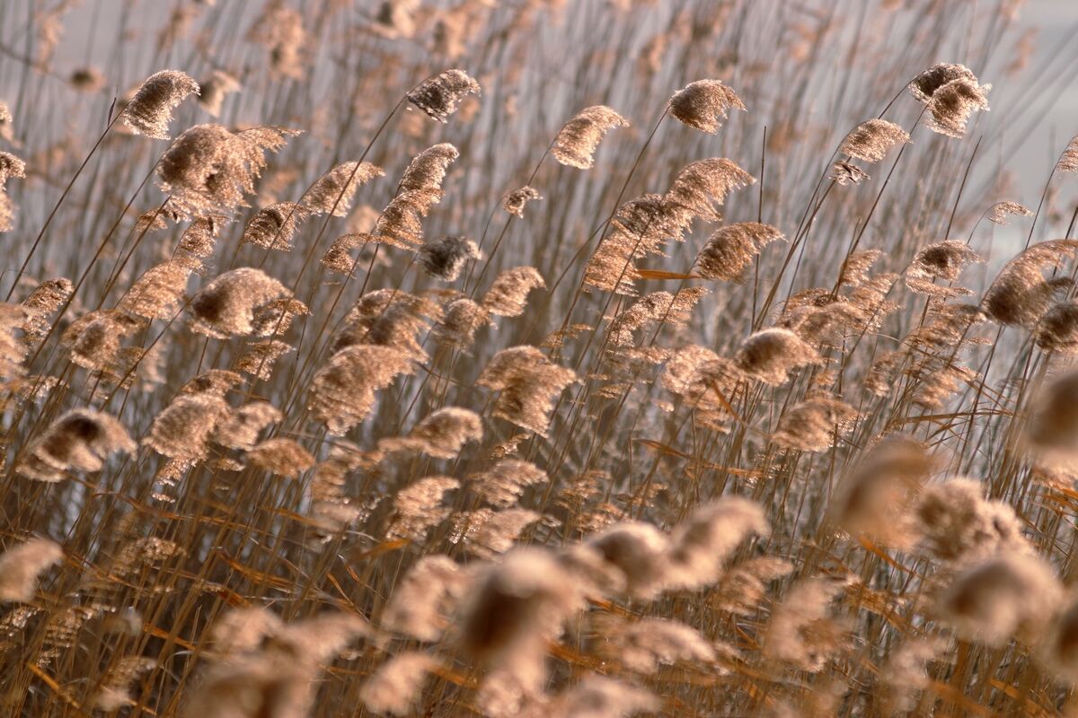 Lake Ledro and around