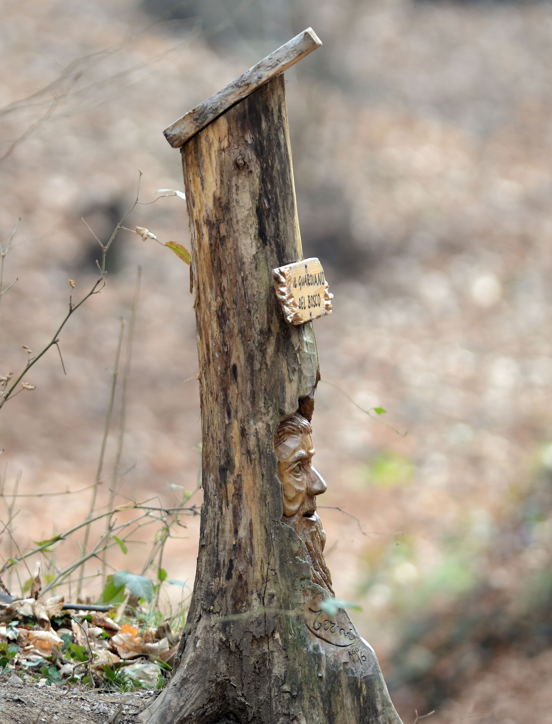 Il guardiano del bosco