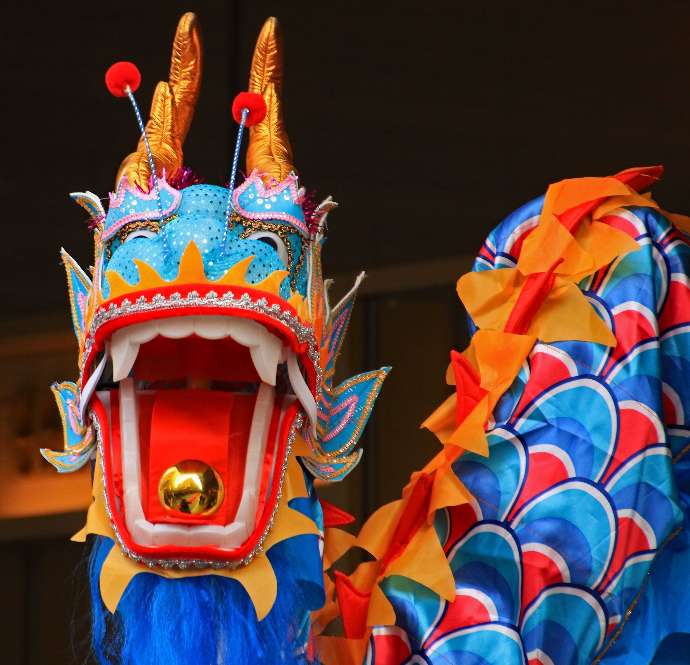 Chinese New Year Festival: The Dragon