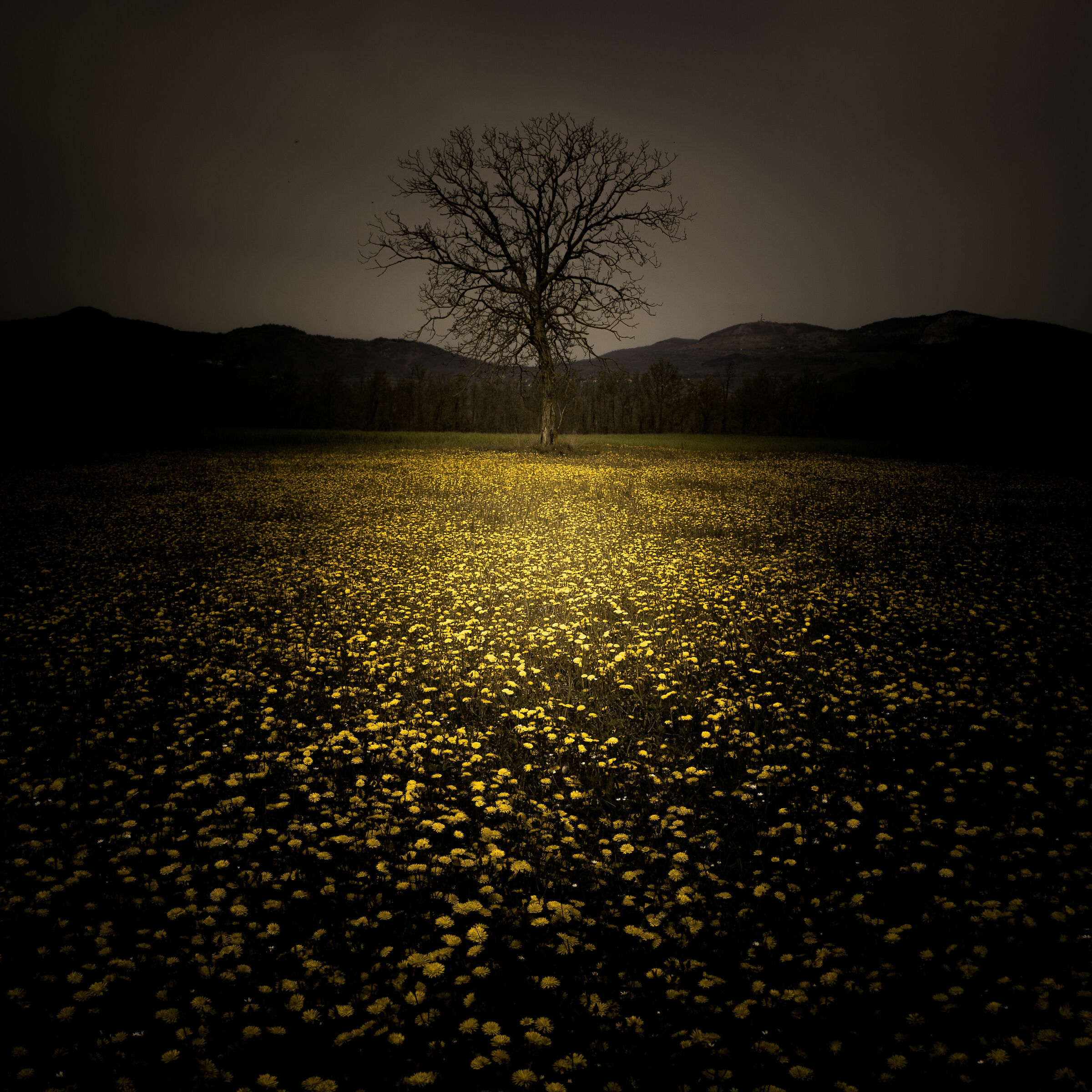 Il giallo e'protagonista