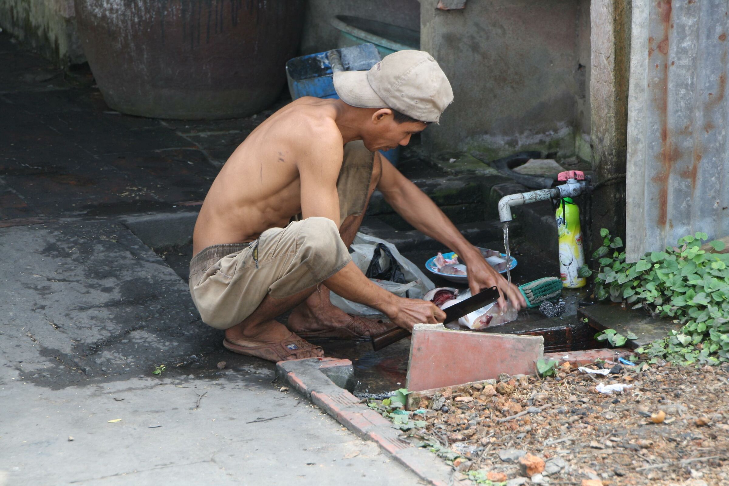 Pescivendolo vietnamita
