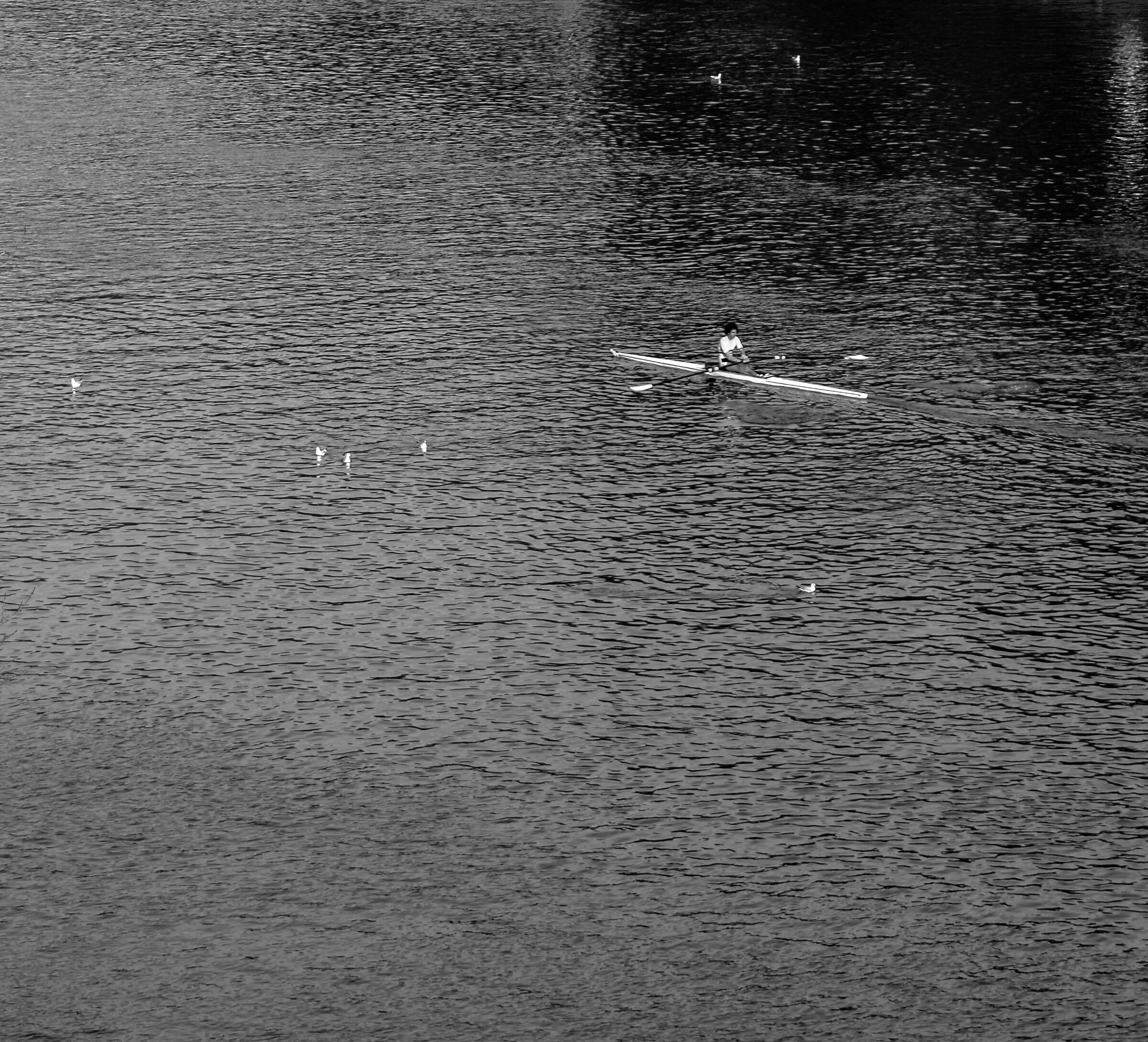 Canottaggio in solitaria