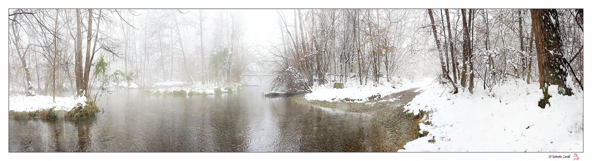 Delight branch with snow