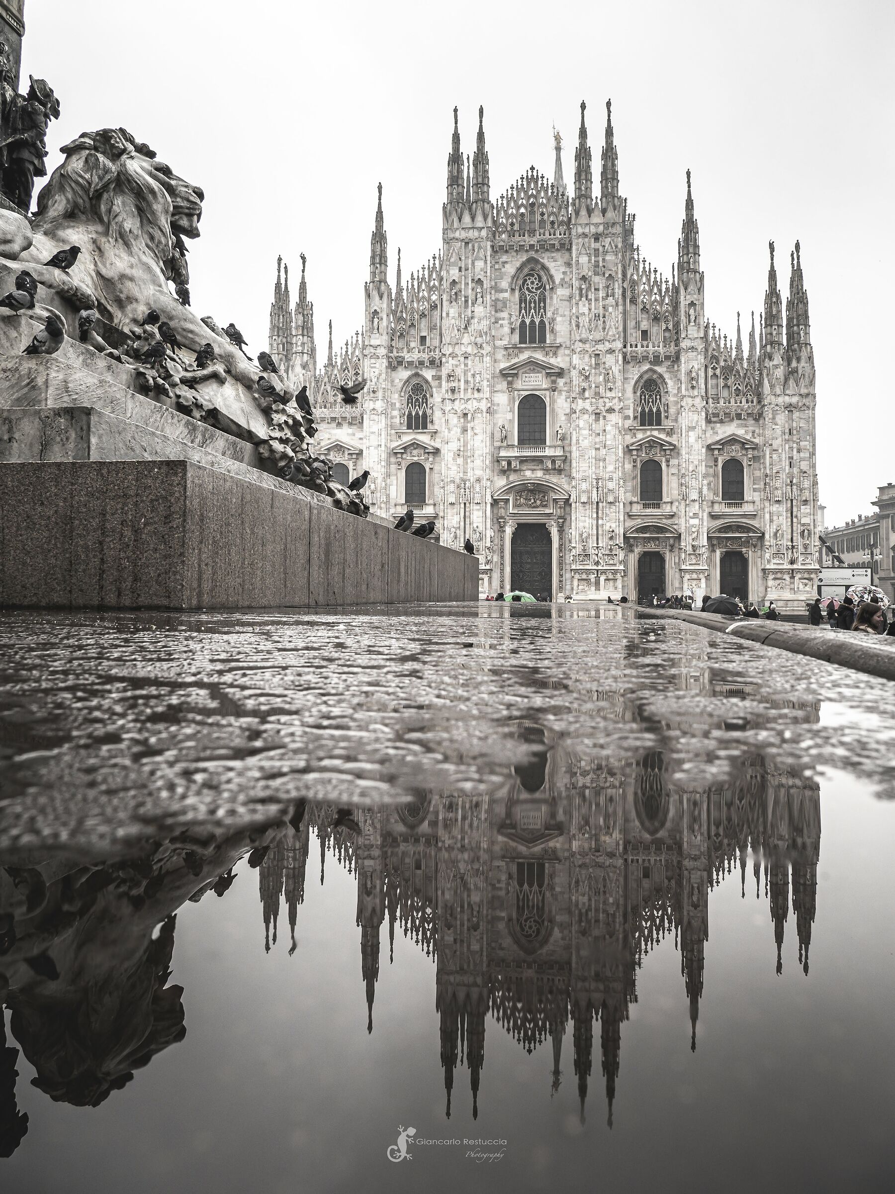 Milan and the rain