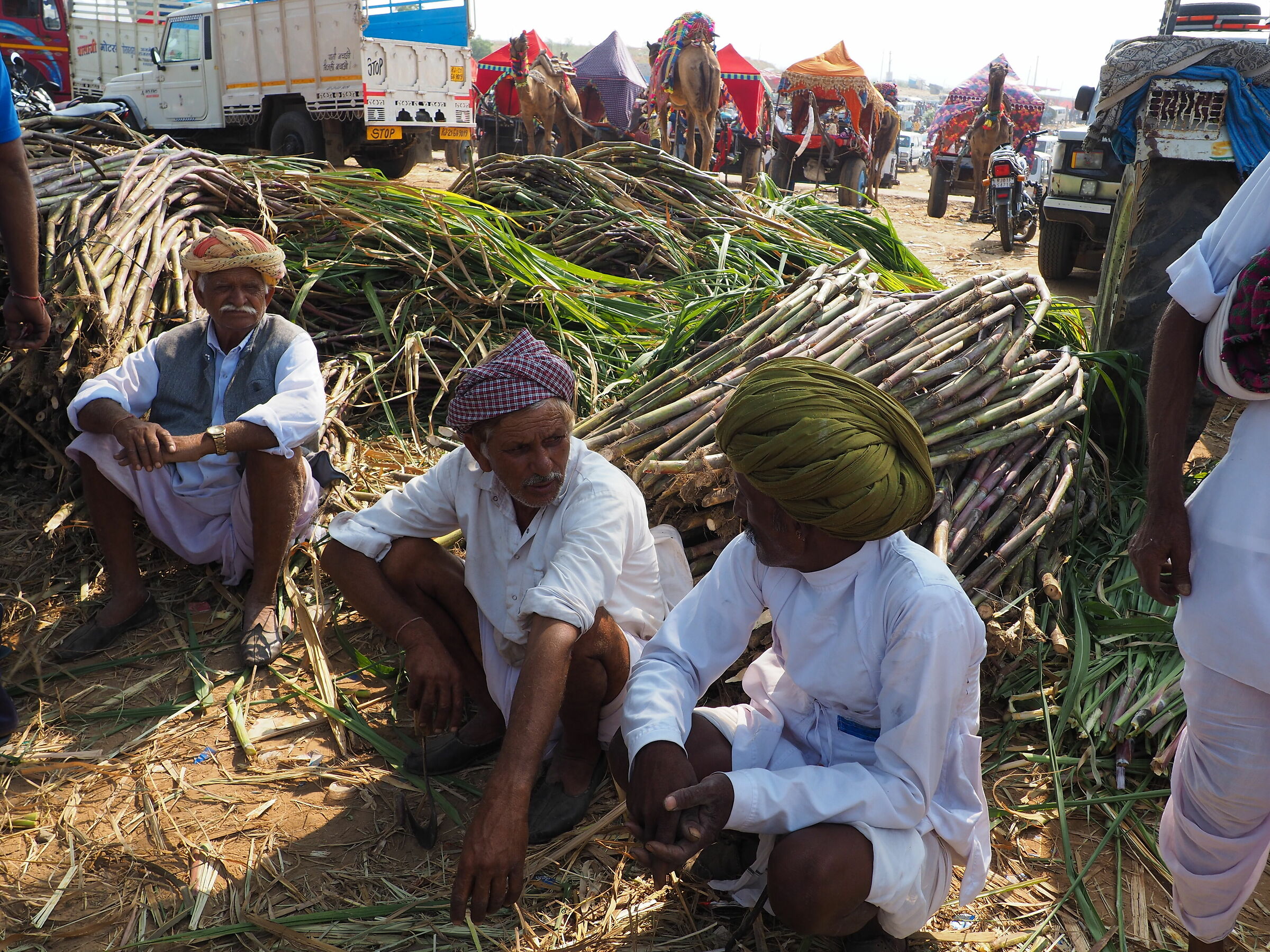 Pushkar market