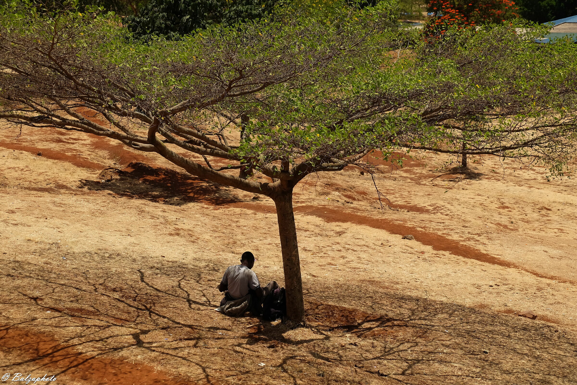 Sit in the shade in the city of Nairobi