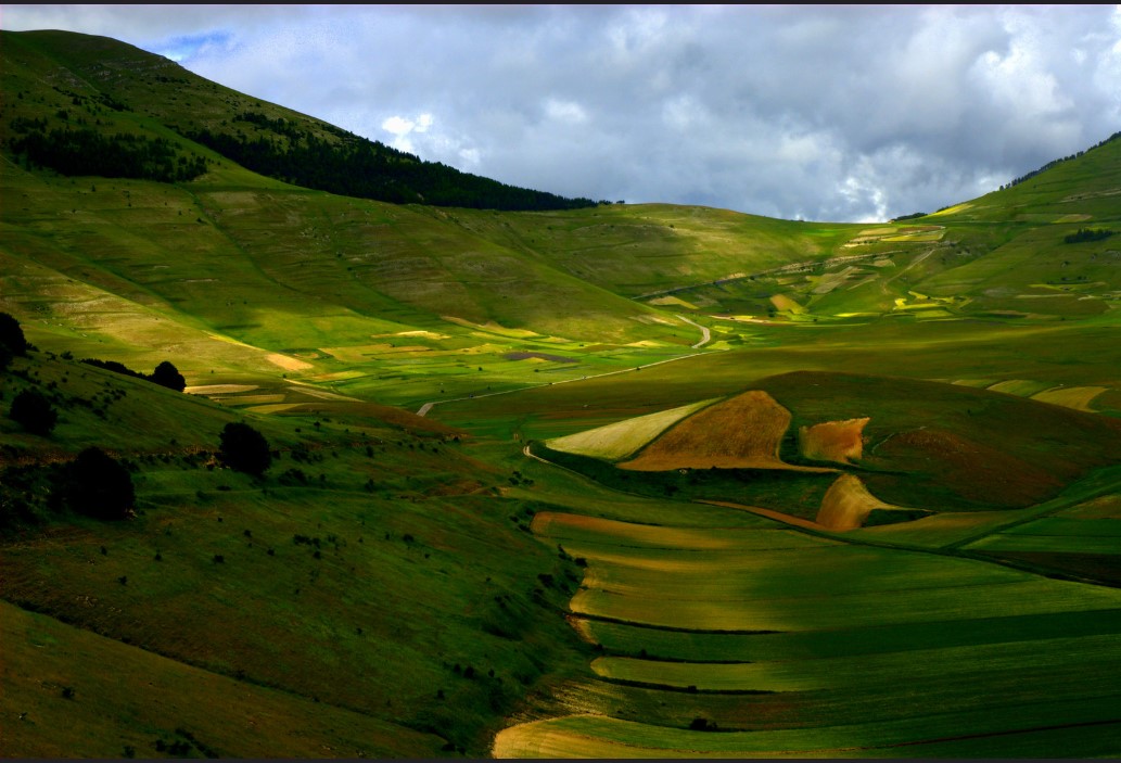 Piana di castelluccio di norcia