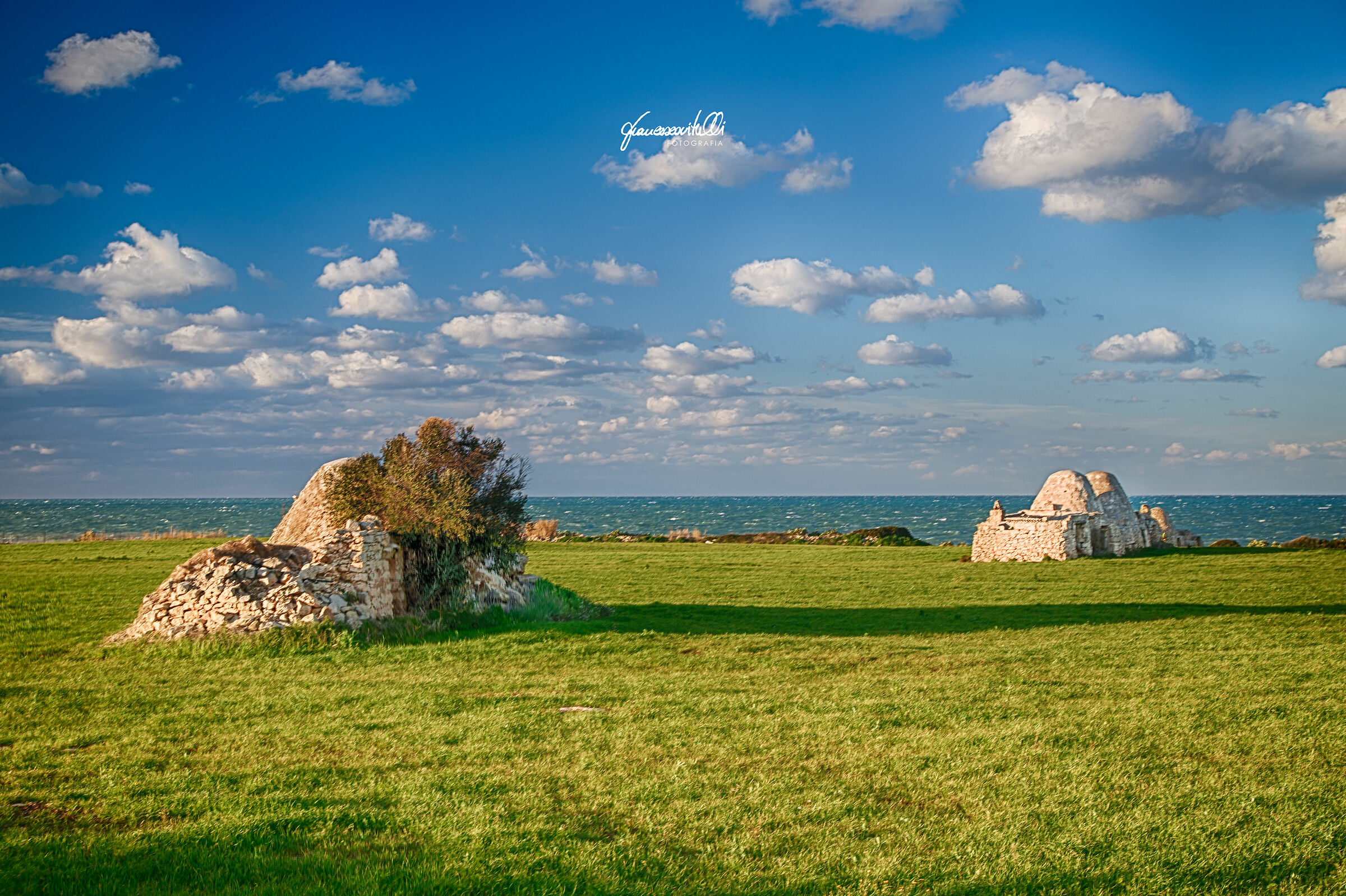 cielo a... pecorelle