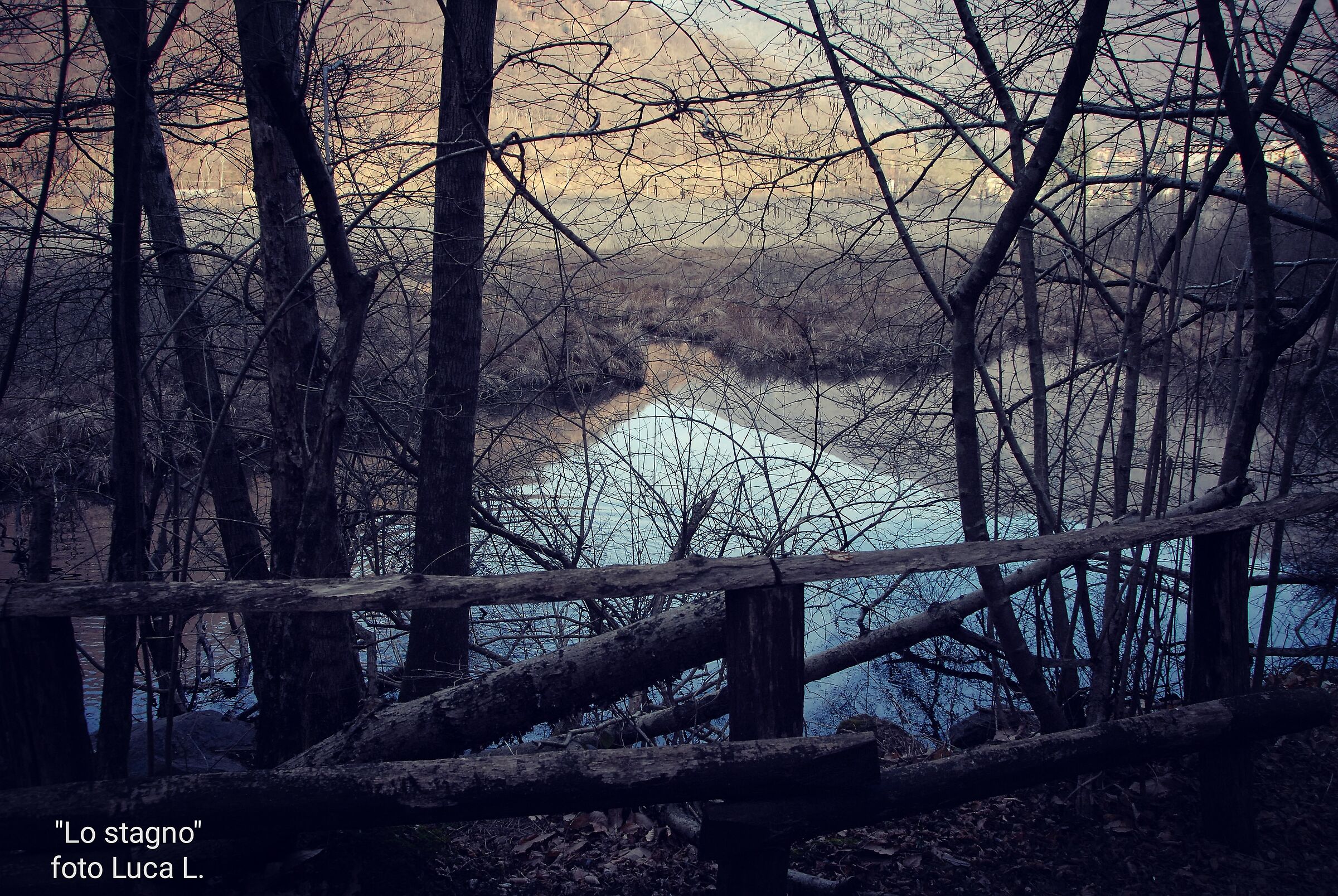 Lo stagno