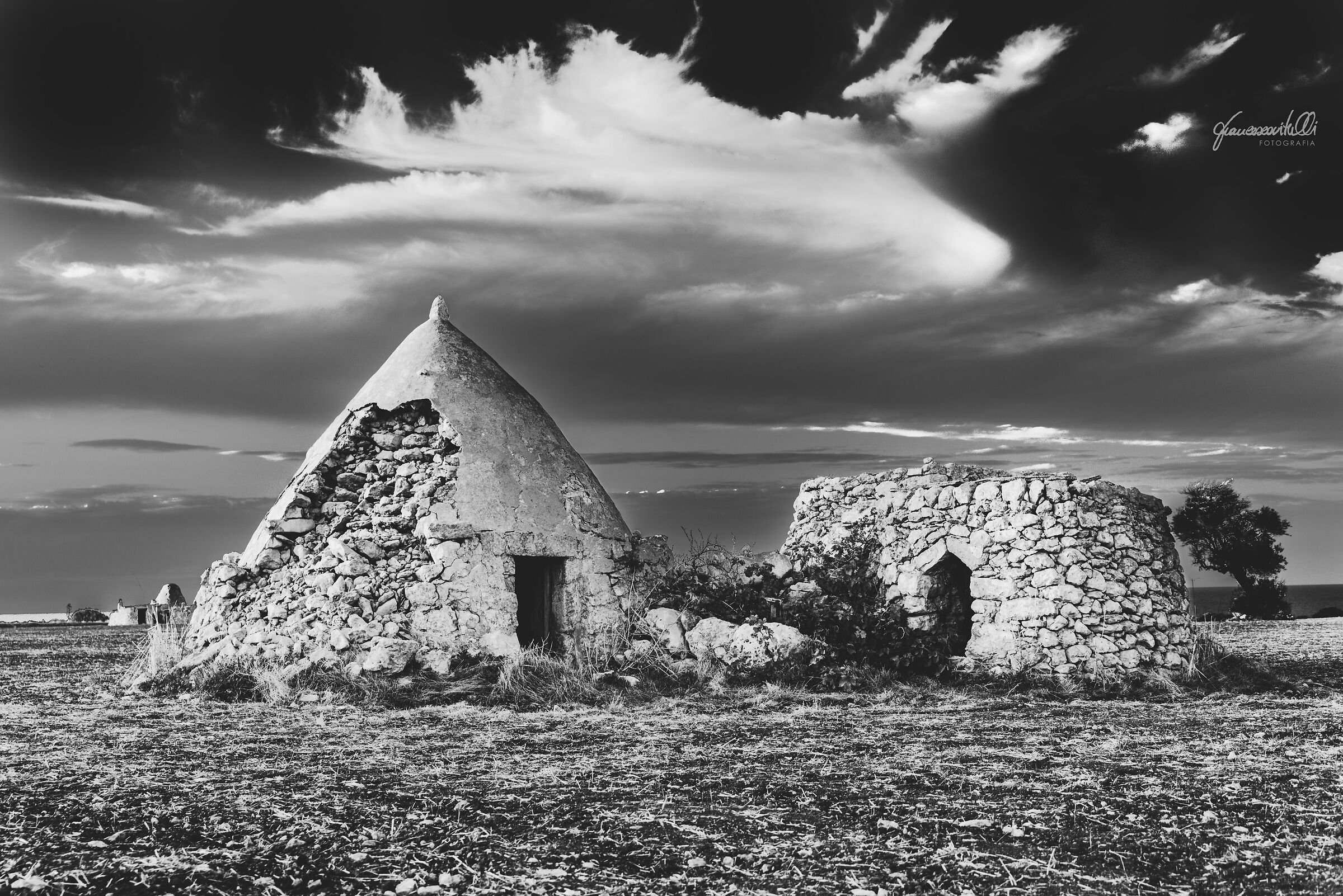 An excerpt from Puglia