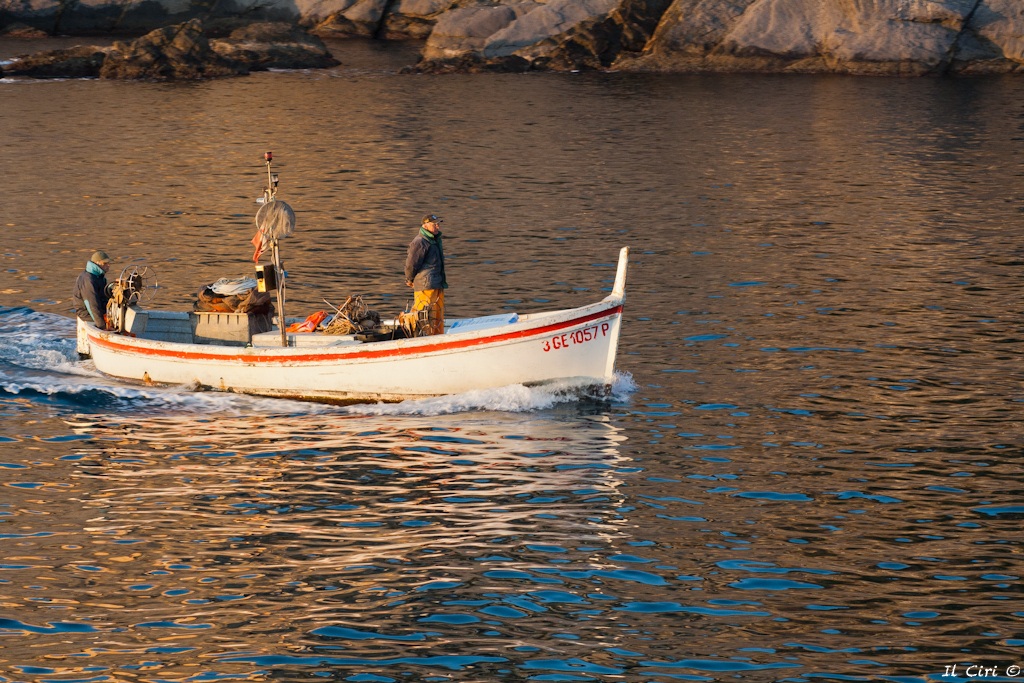 pescatori a camogli