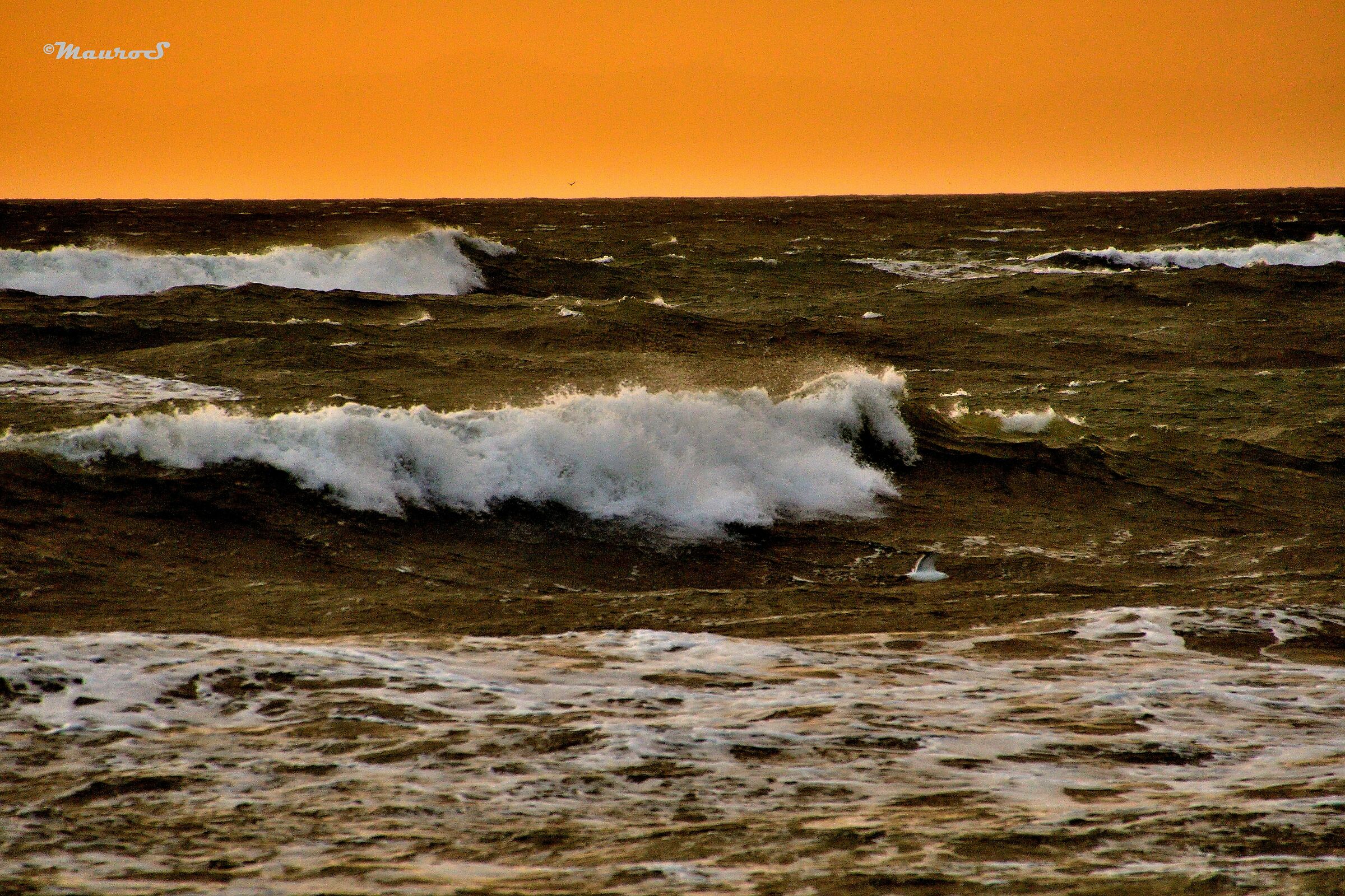Mare in burrasca al tramonto