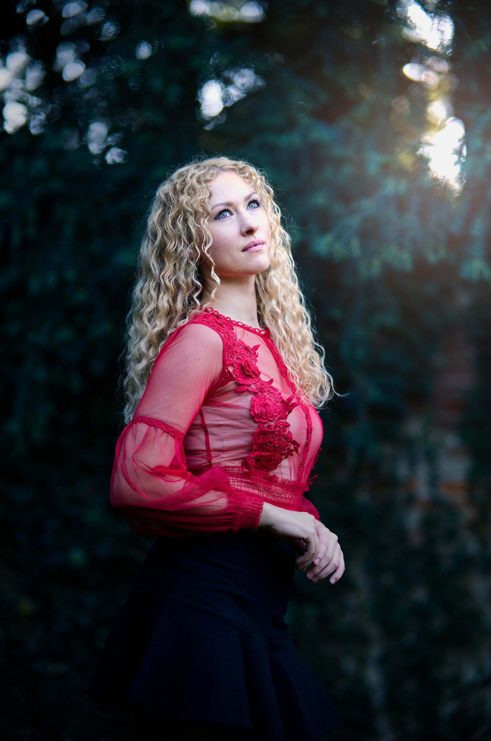 Renaissance Vibes, Inves