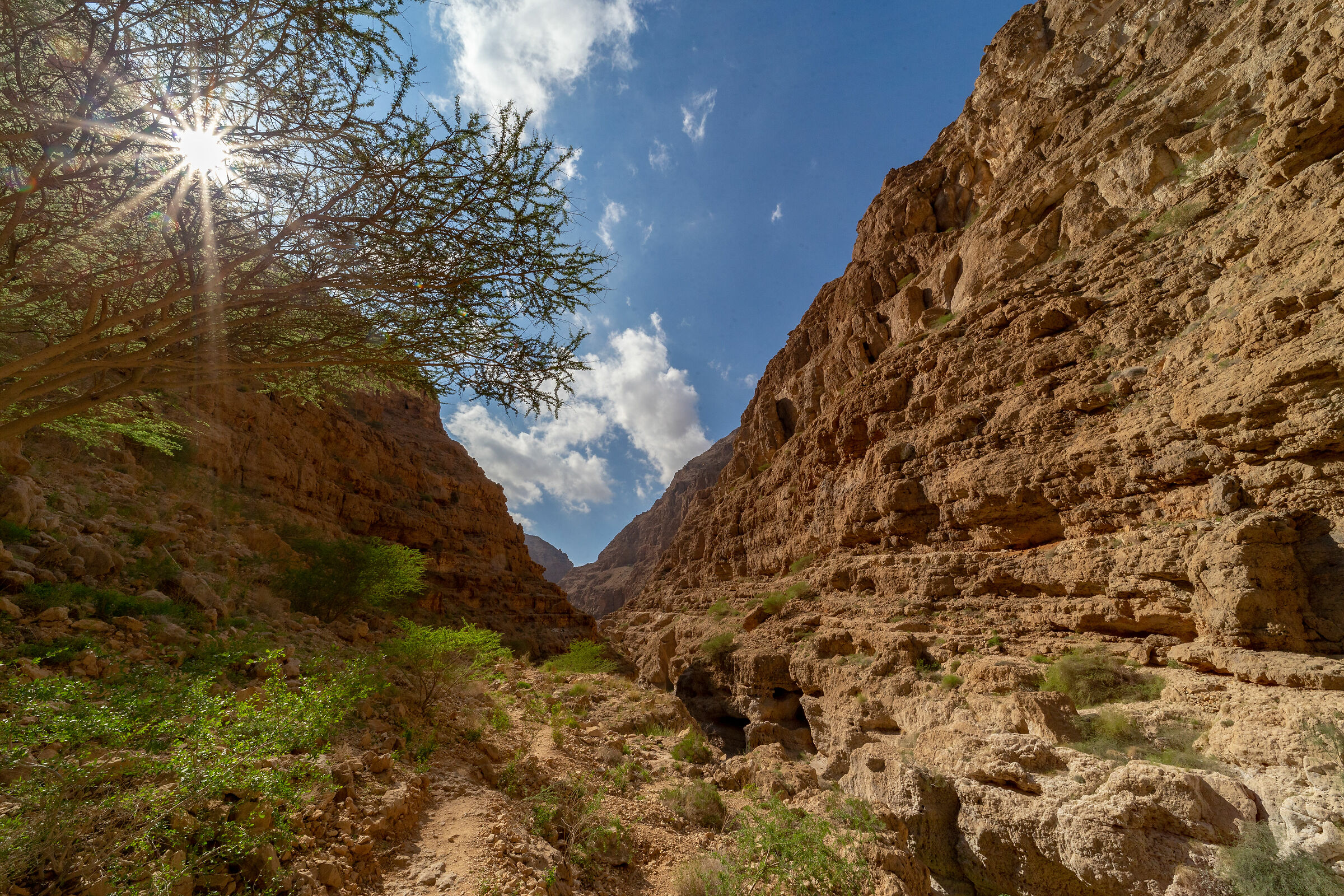 Wadi Shab