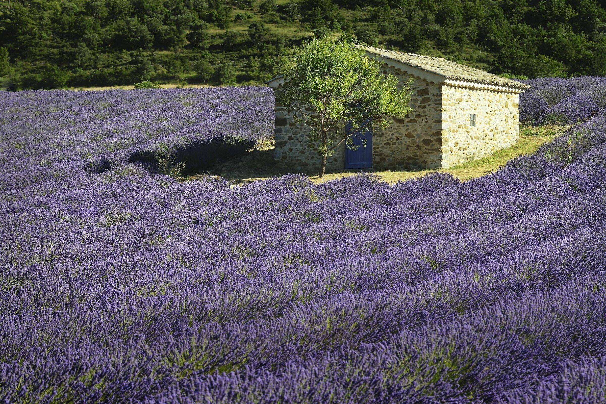 Barret-de-Lioure, Provenza