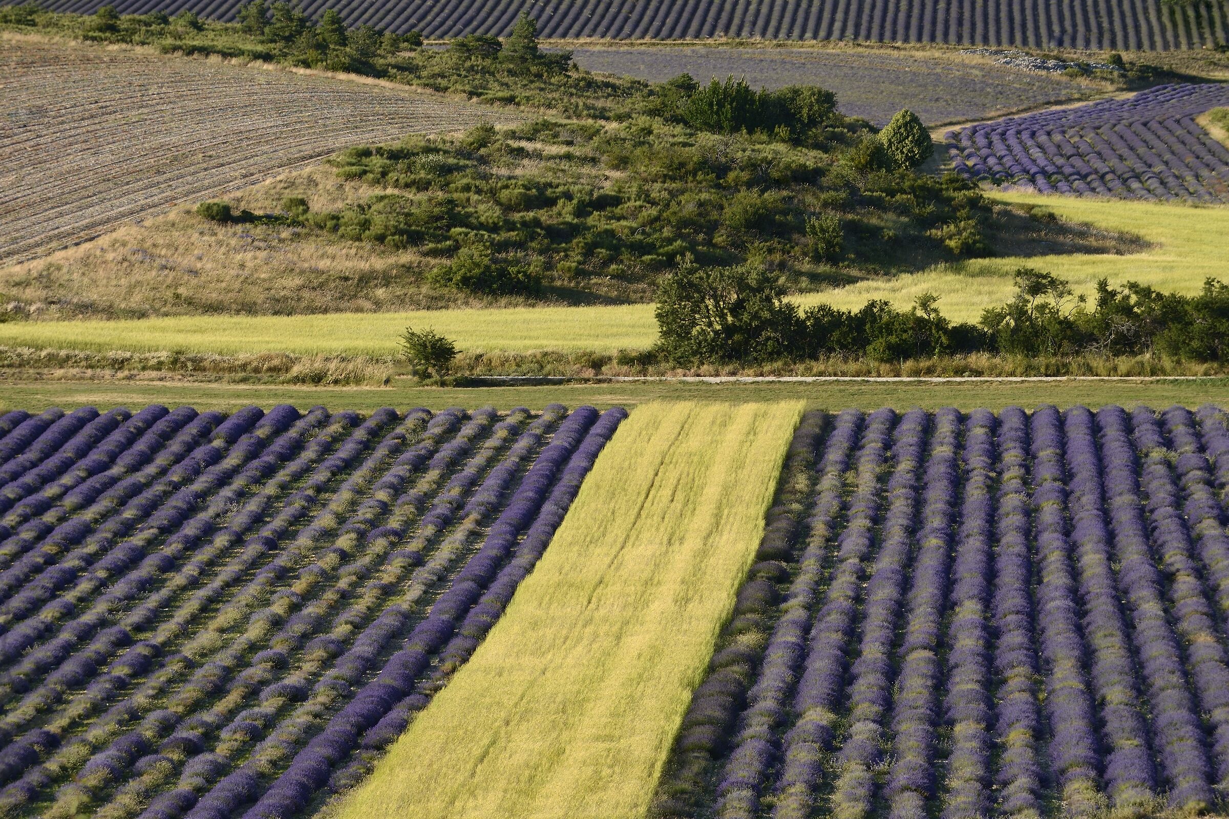 Ferrassieres, Provenza