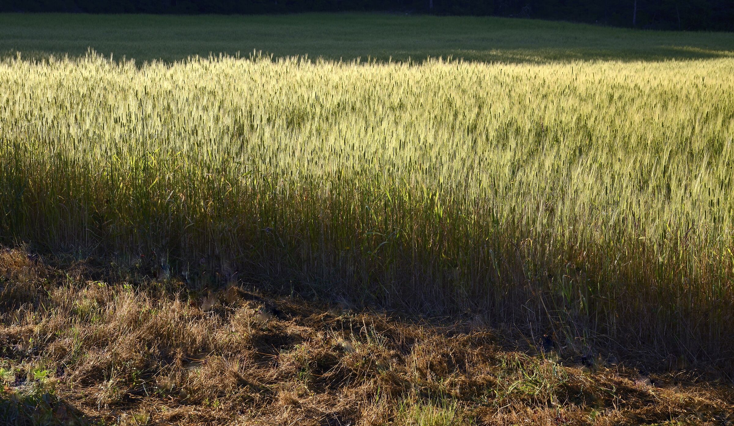 Montbrun les Bains, Provenza