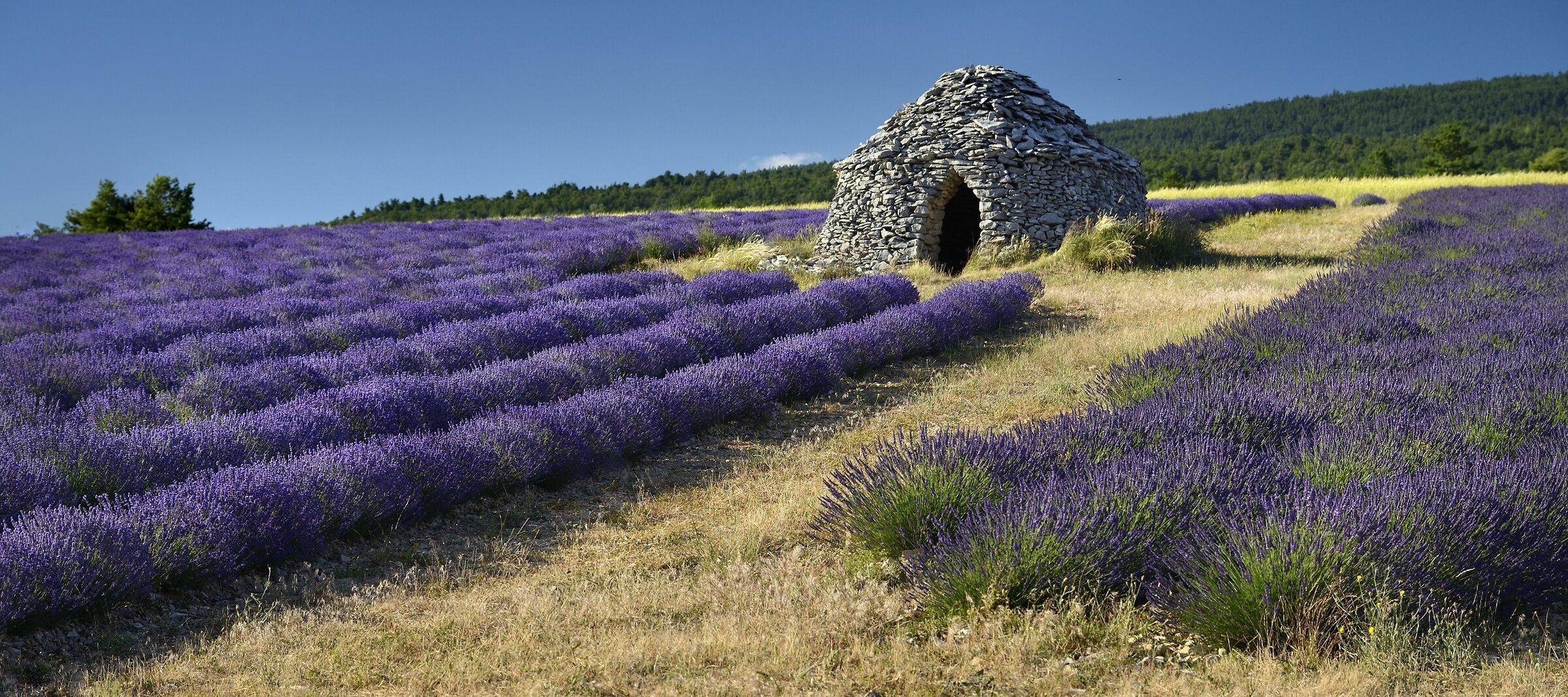 Ferrassières, Provenza