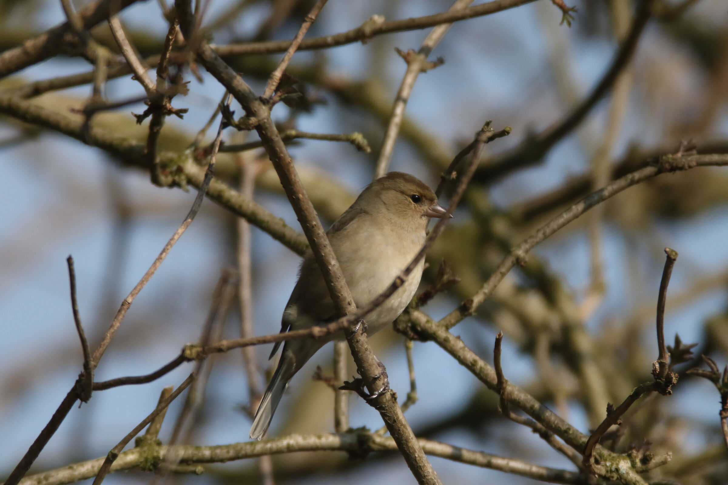 Nel bel mezzo del cammin....Mi ritrovai....