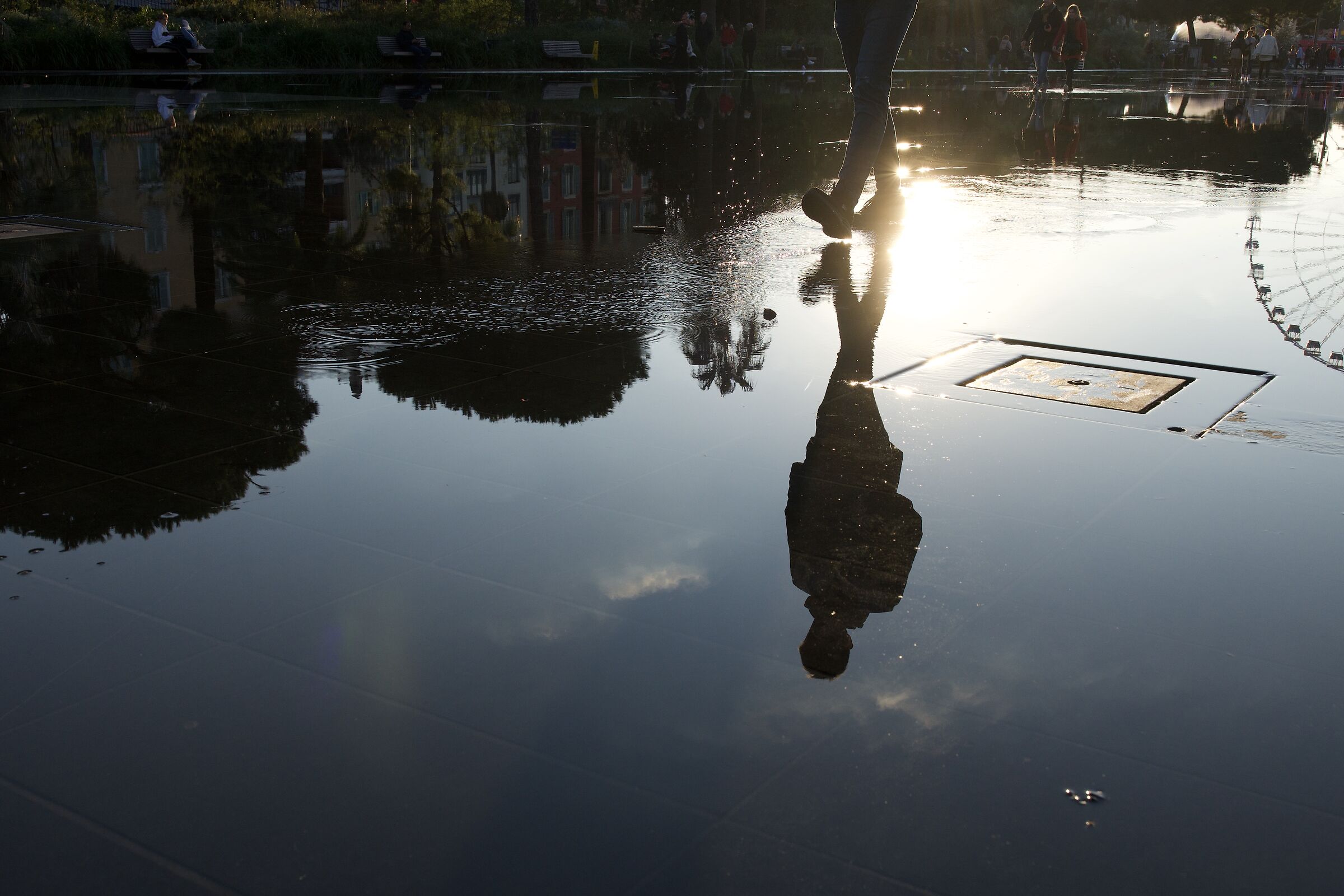 Camminare sulle acque