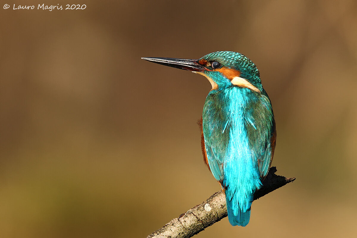Mi asciugo sotto il sole