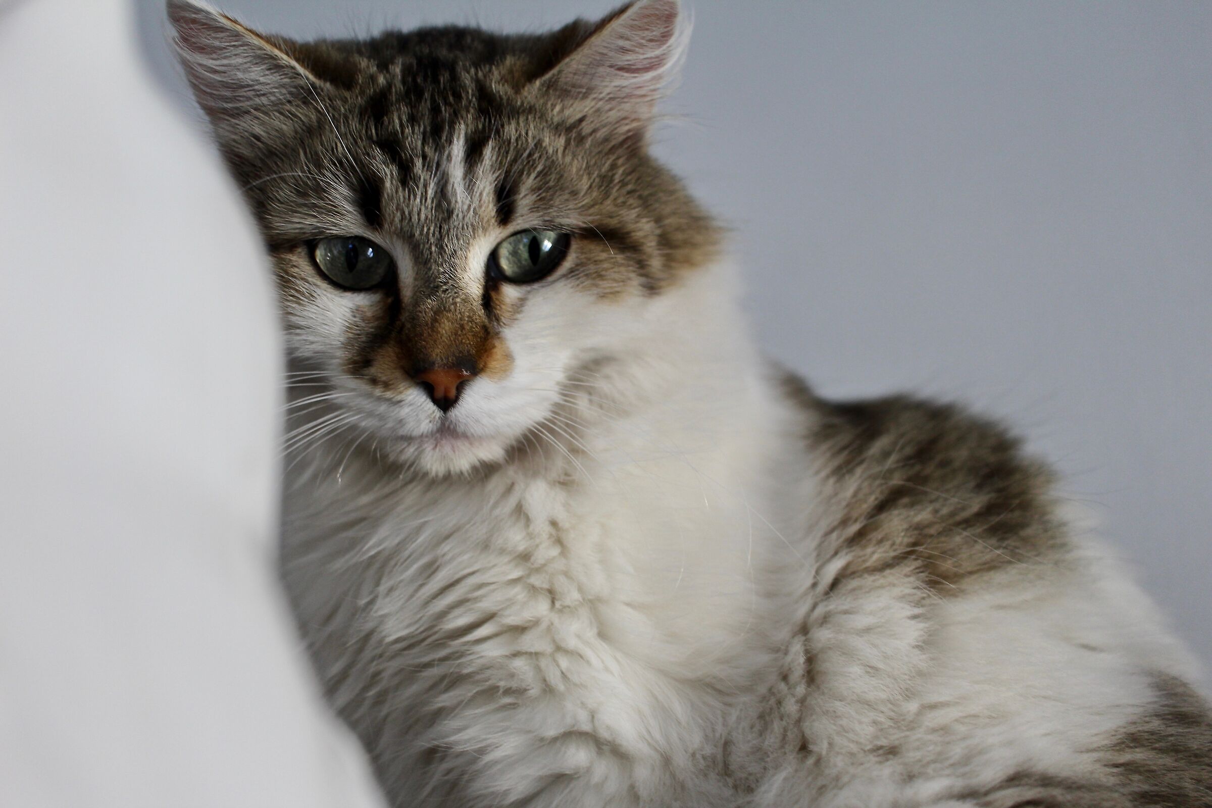 Special little eyes...