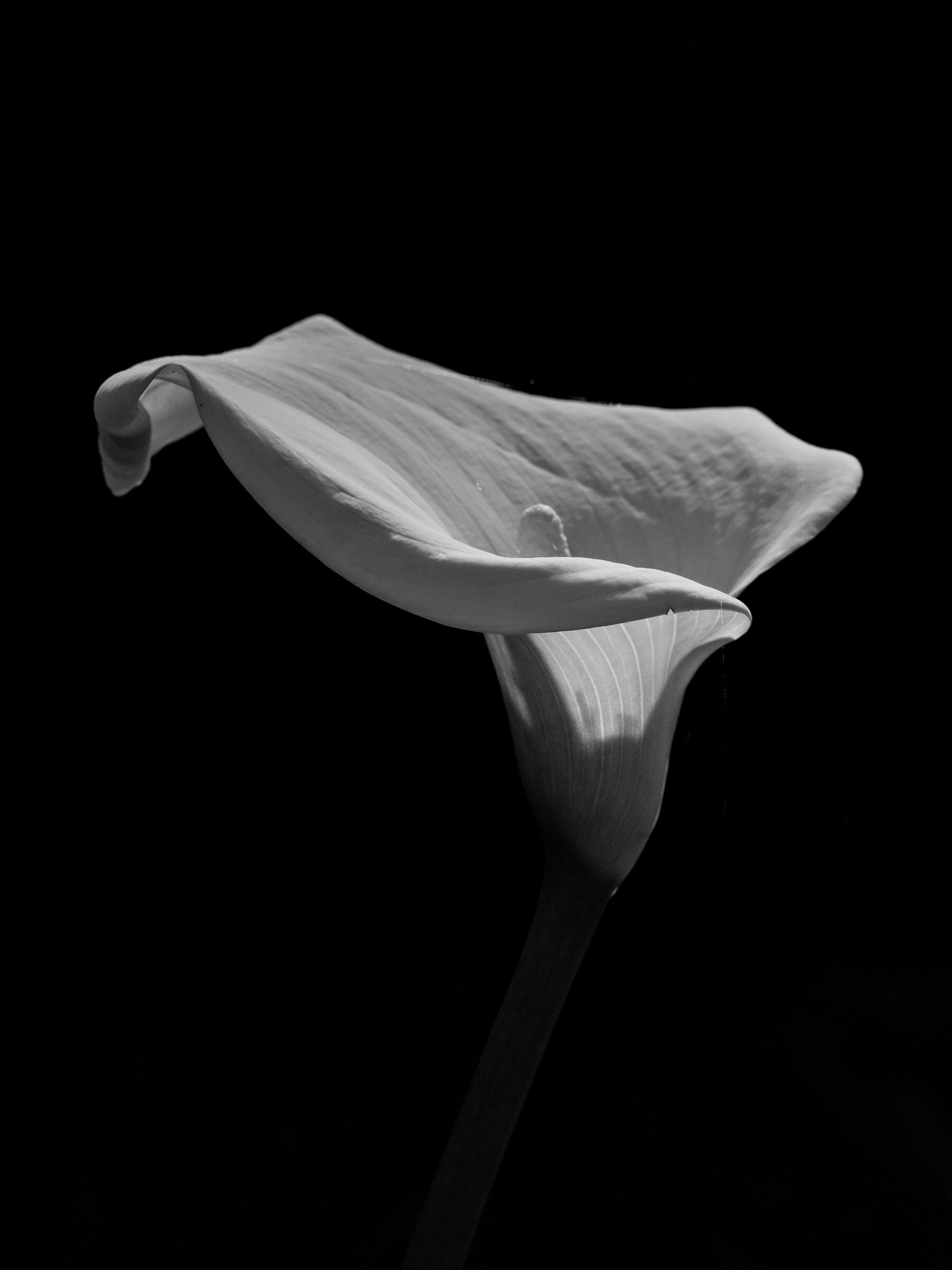 st5