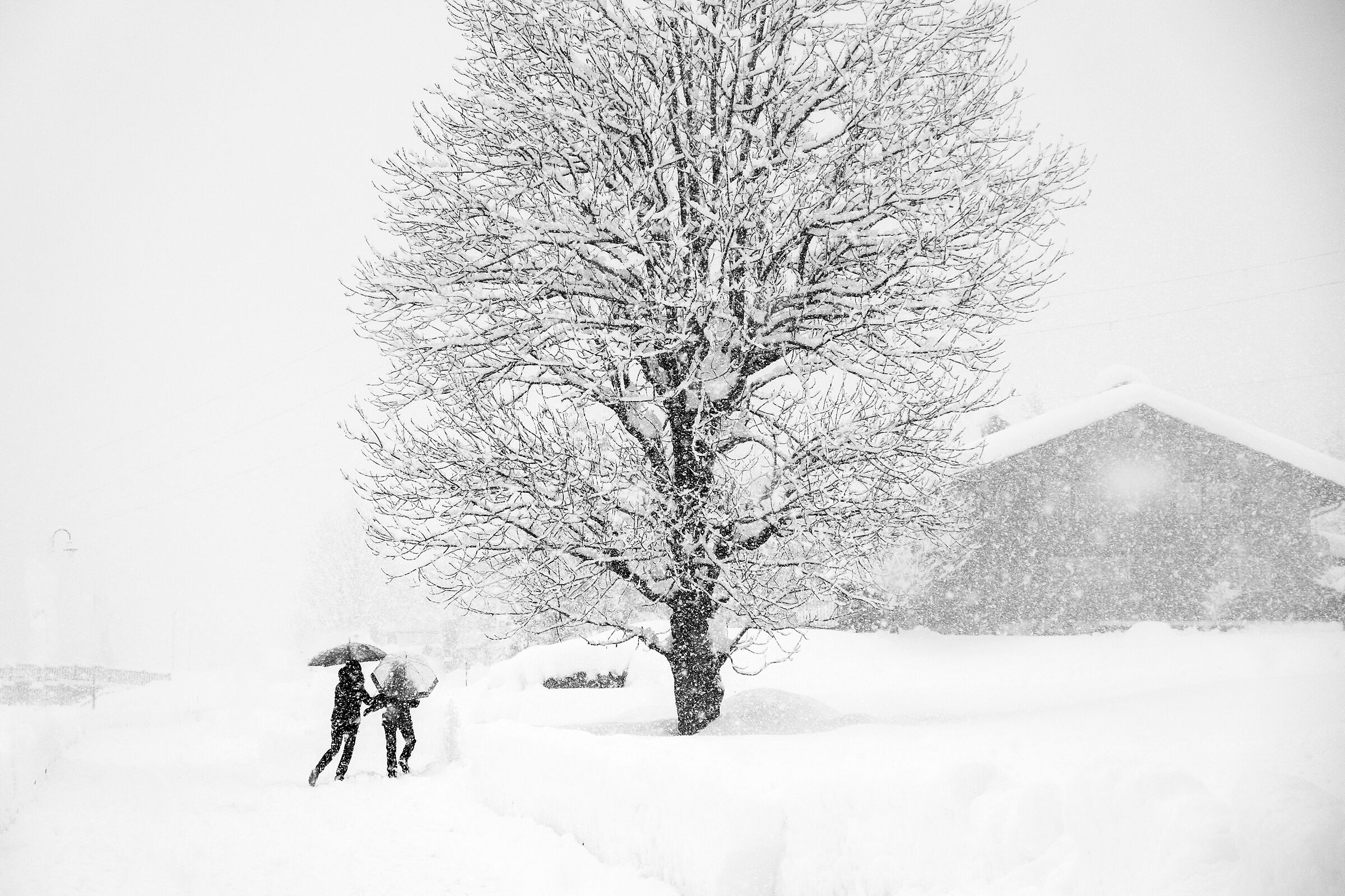 Si torna come bambini