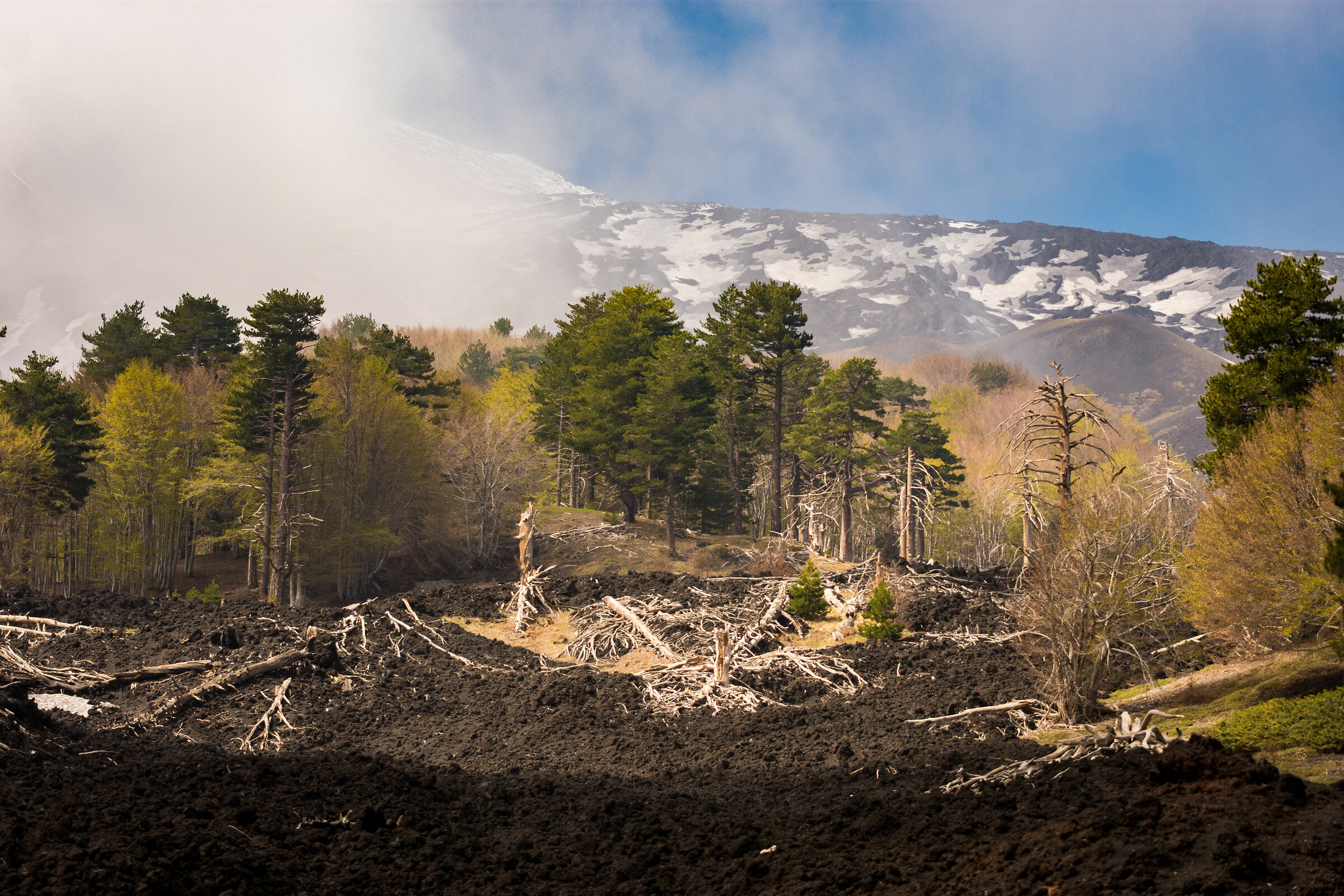 Inverno sull'Etna
