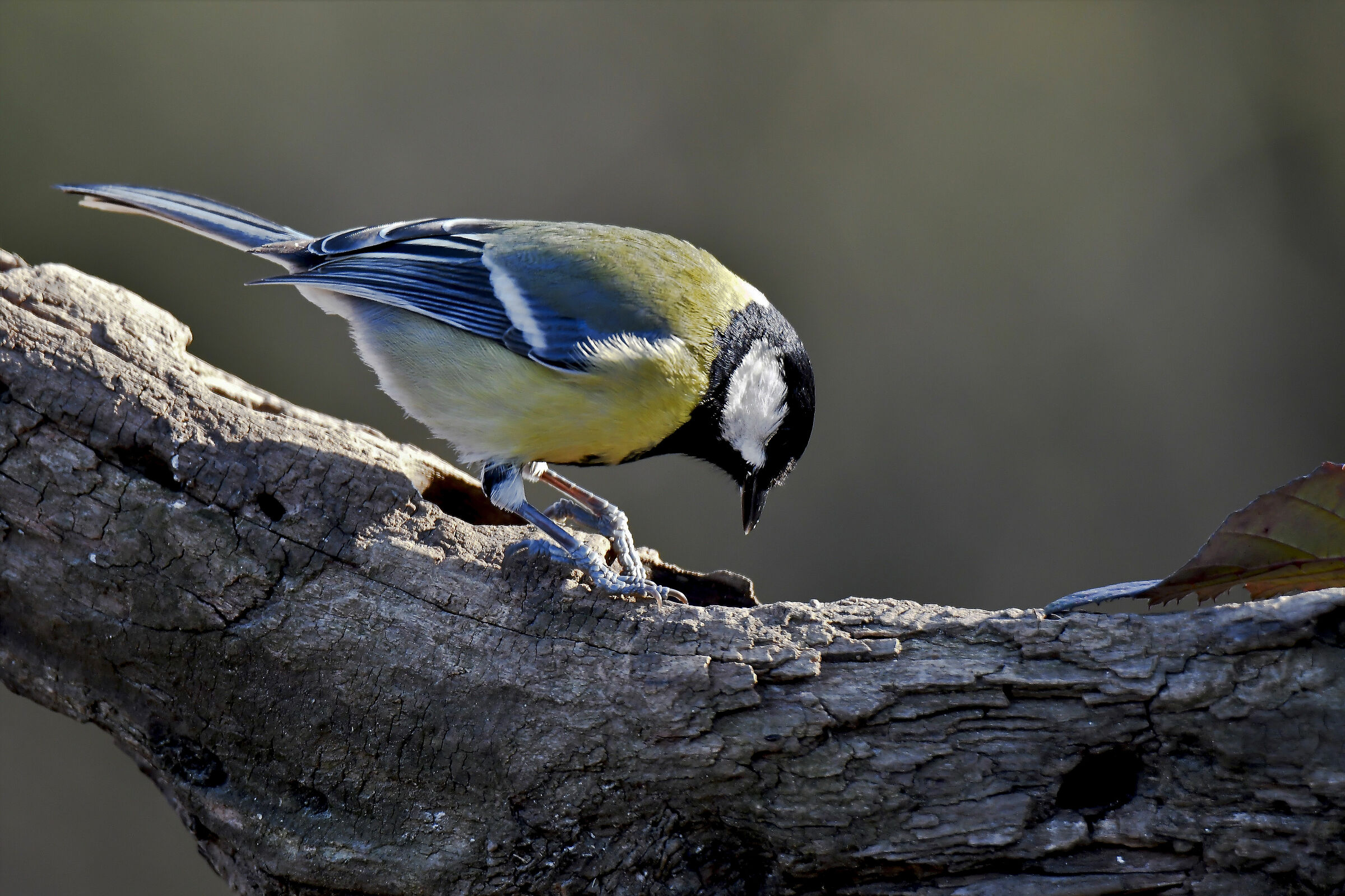 let's see if they left me anything...