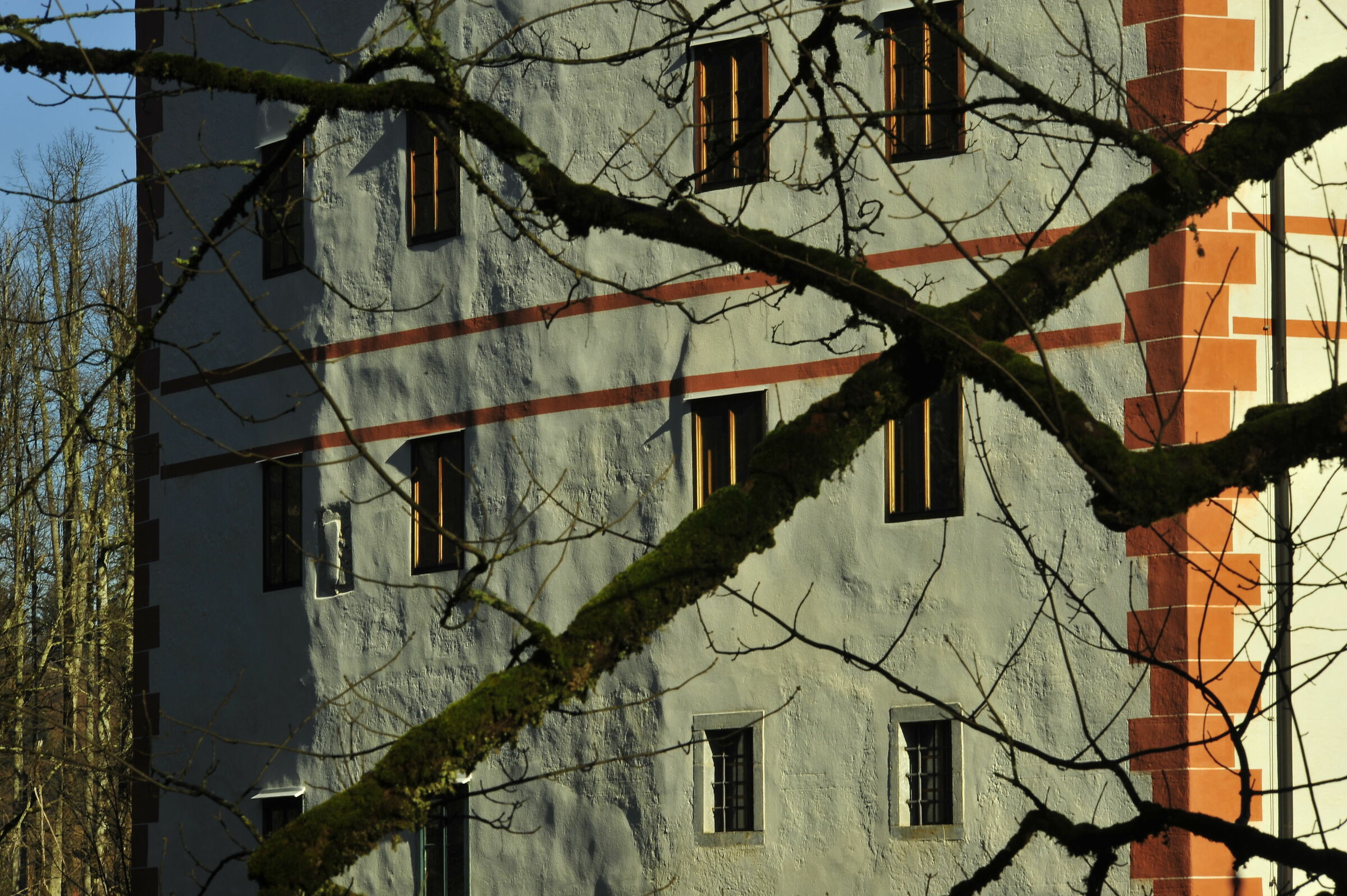 La scabrosità della luce