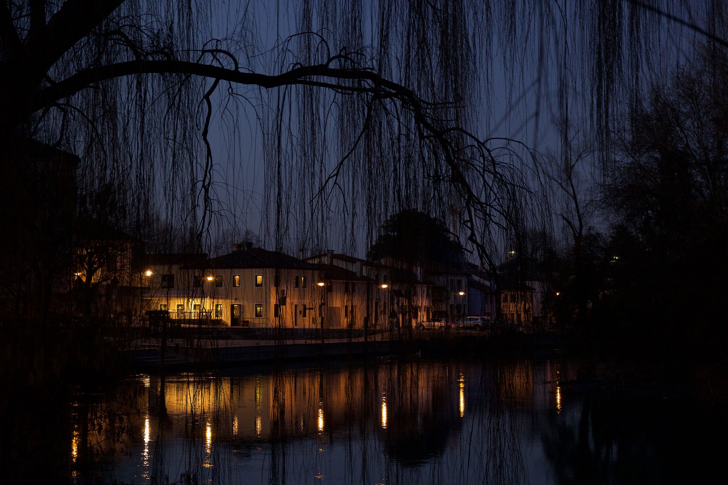 Untitled Photo